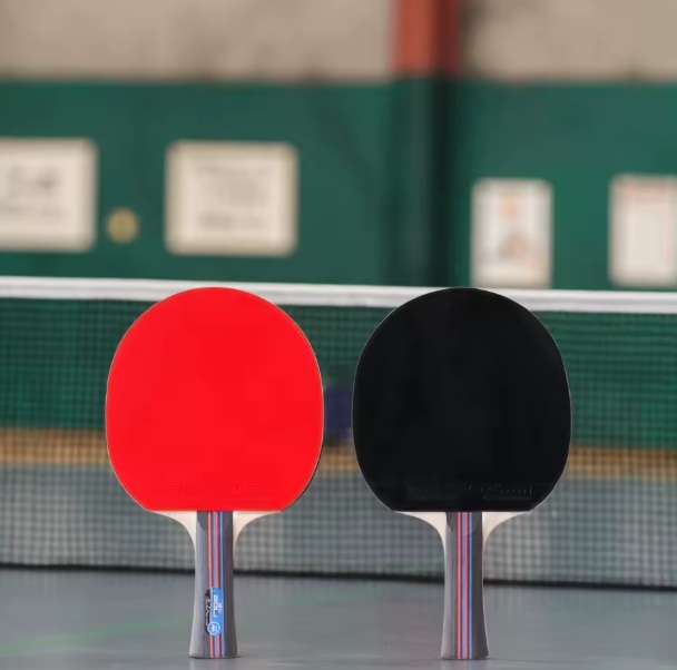 Table Tennis Paddle Set