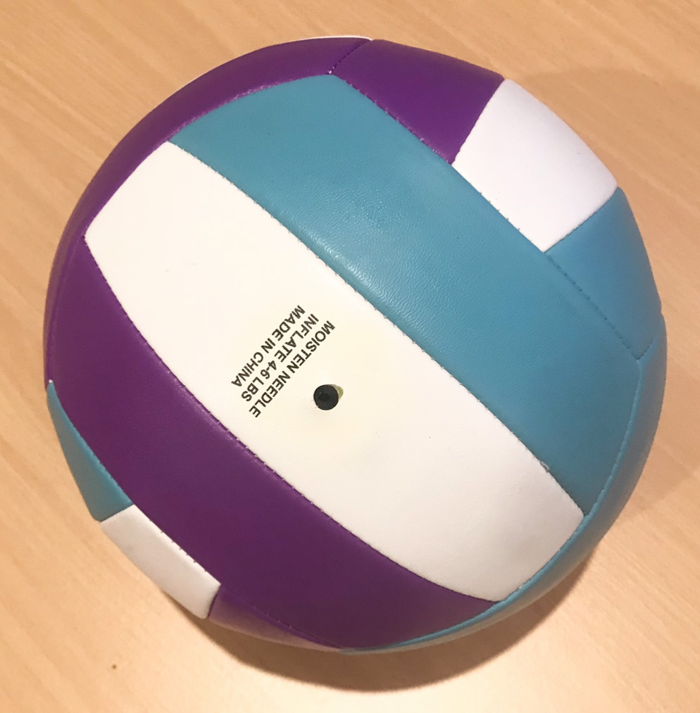 Custom Volleyball