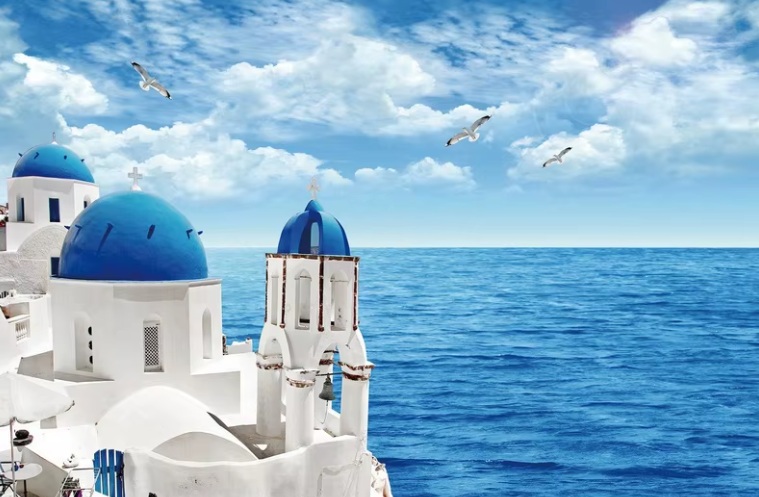 New 1000 Piece Jigsaw Puzzle