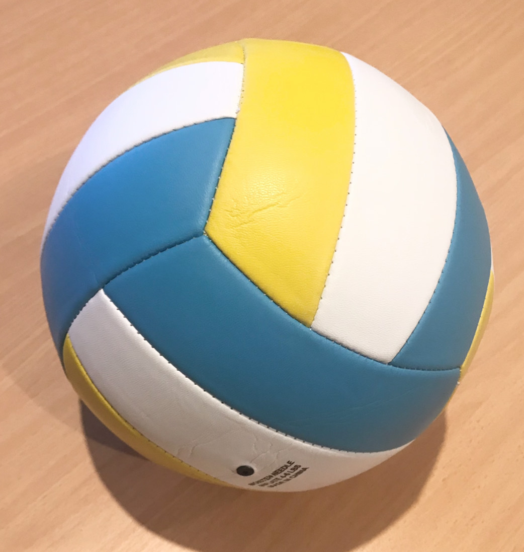 Custom Volleyball