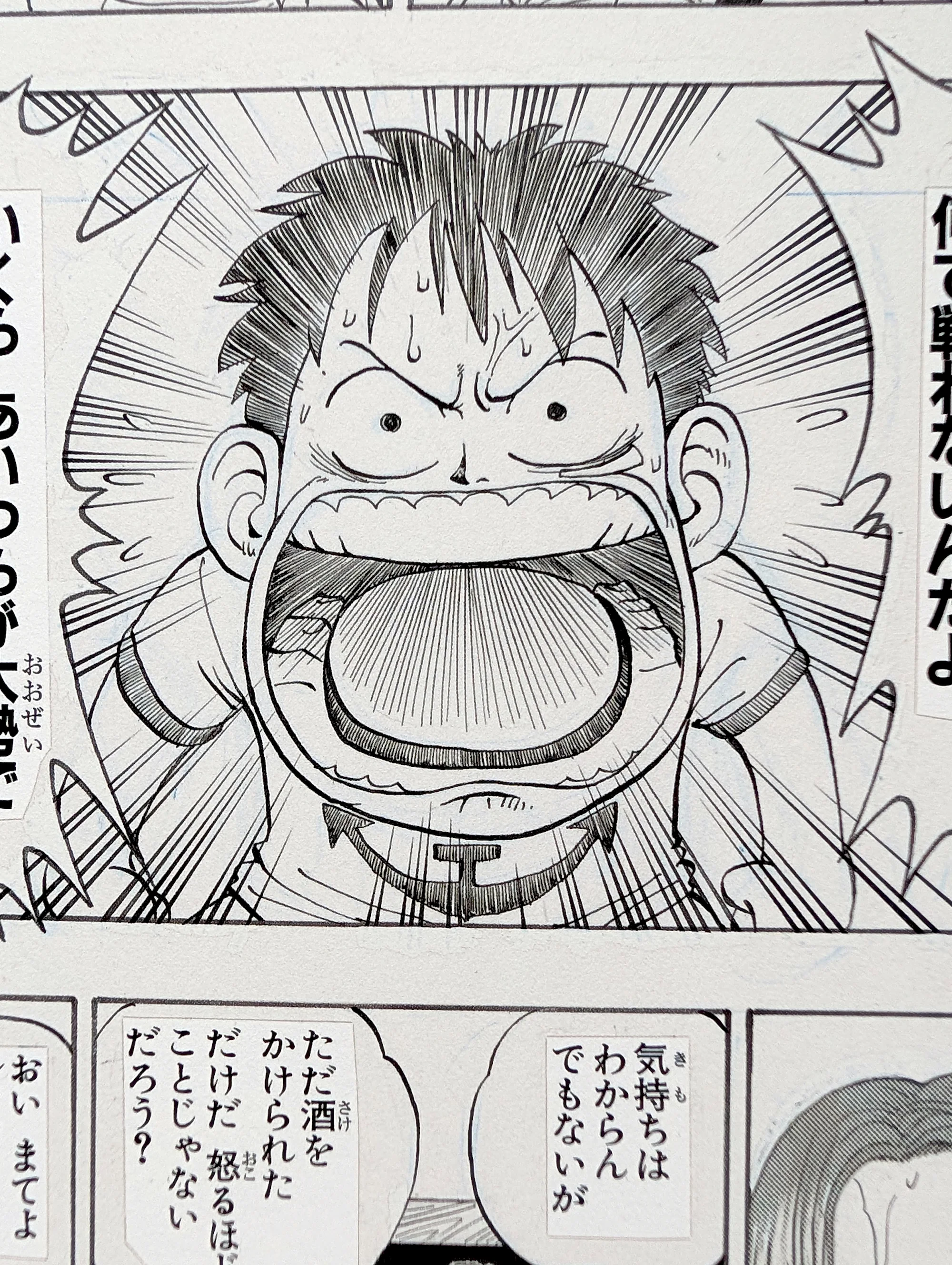 Planche de Collection - Fac-similé - Fukusei Genga - One piece - SD015