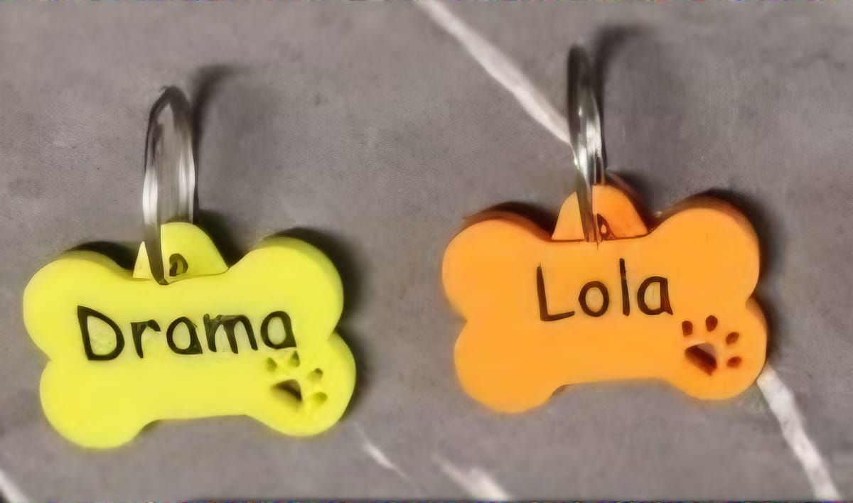 PLACAS IDENTIFICACIÓN PARA MASCOTAS