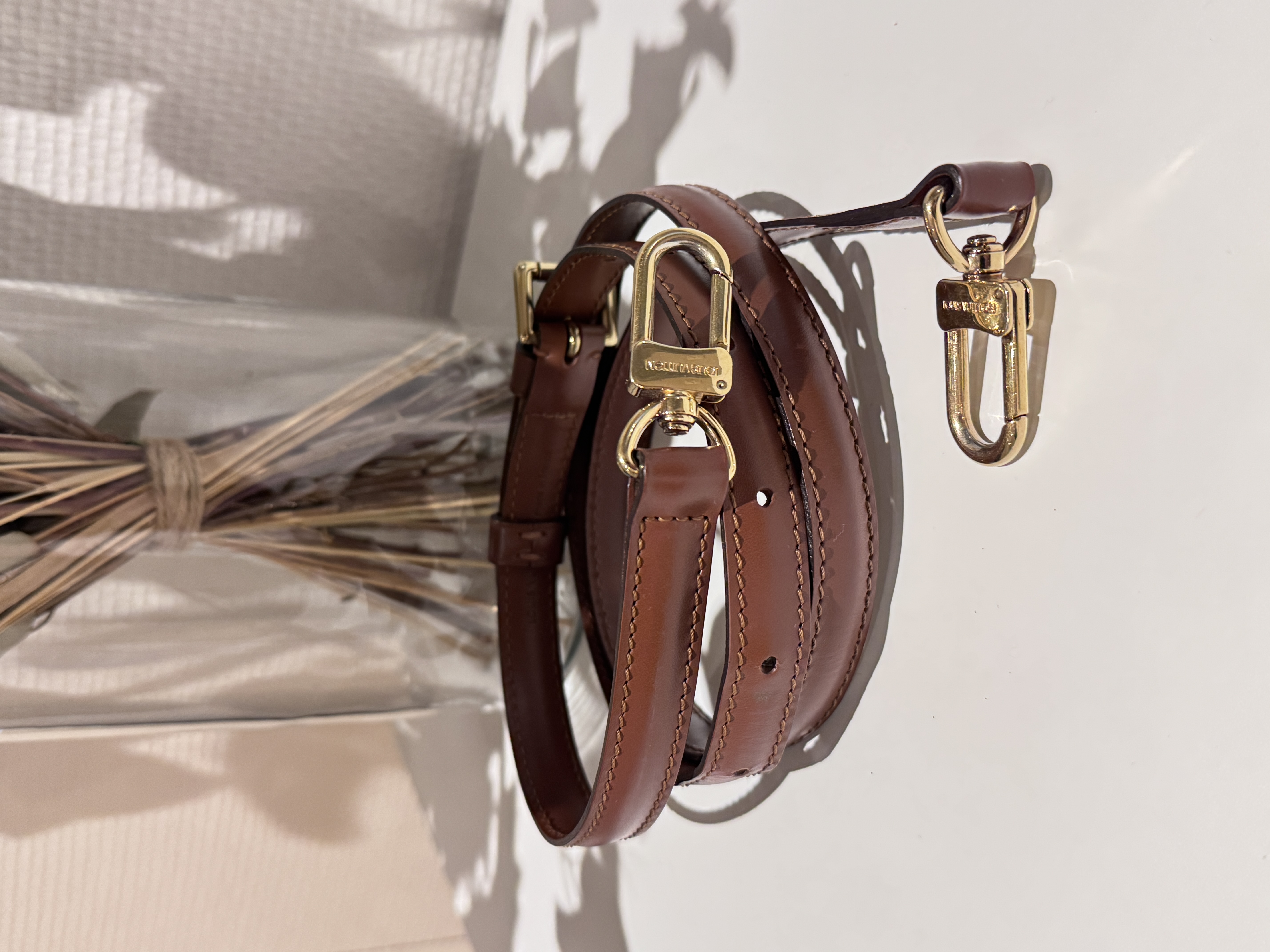Louis Vuitton Adjustable Strap Brown Epi