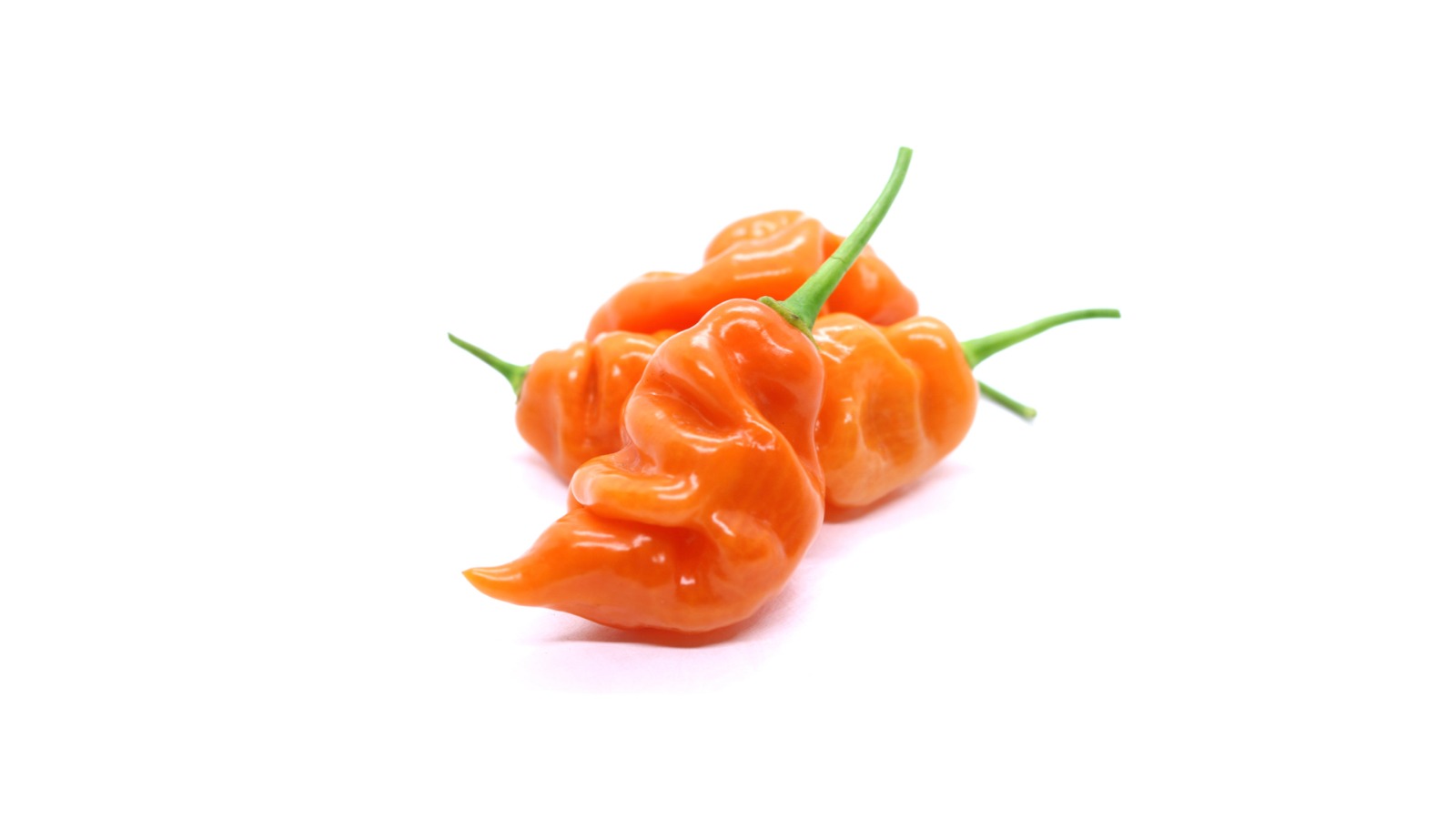 Orange Habanada Pepper