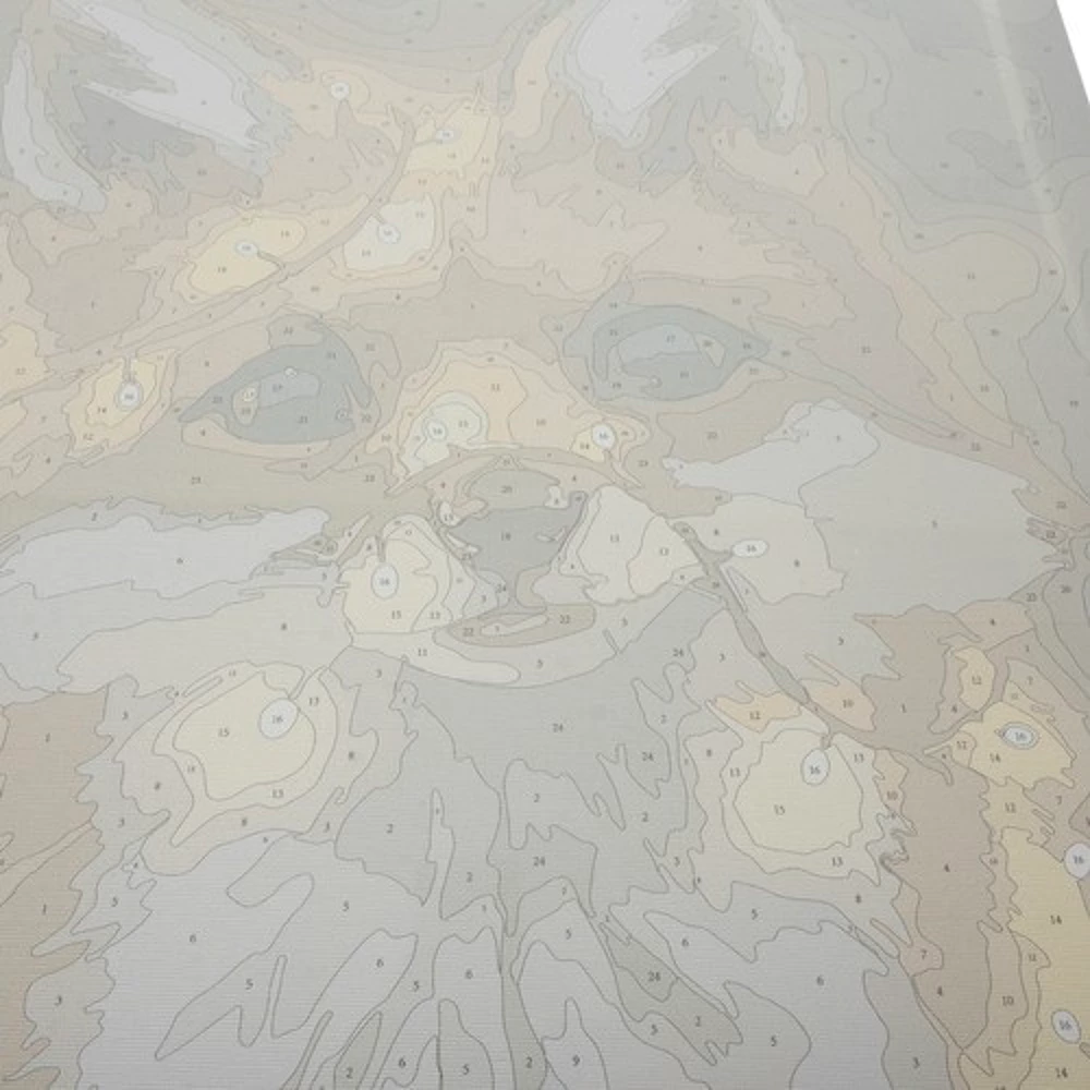 Dažymo pagal skaičius rinkinys 