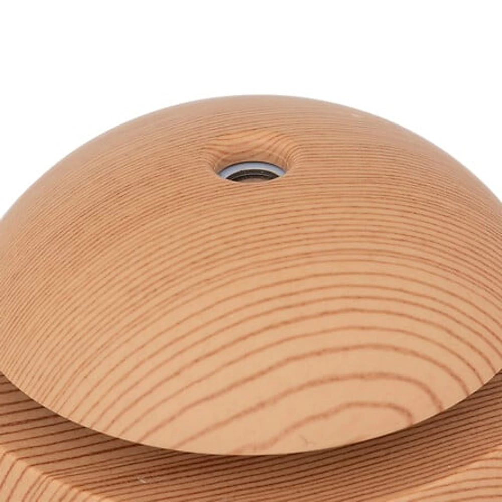 Eterinių aliejų difuzorius +12 aliejų 