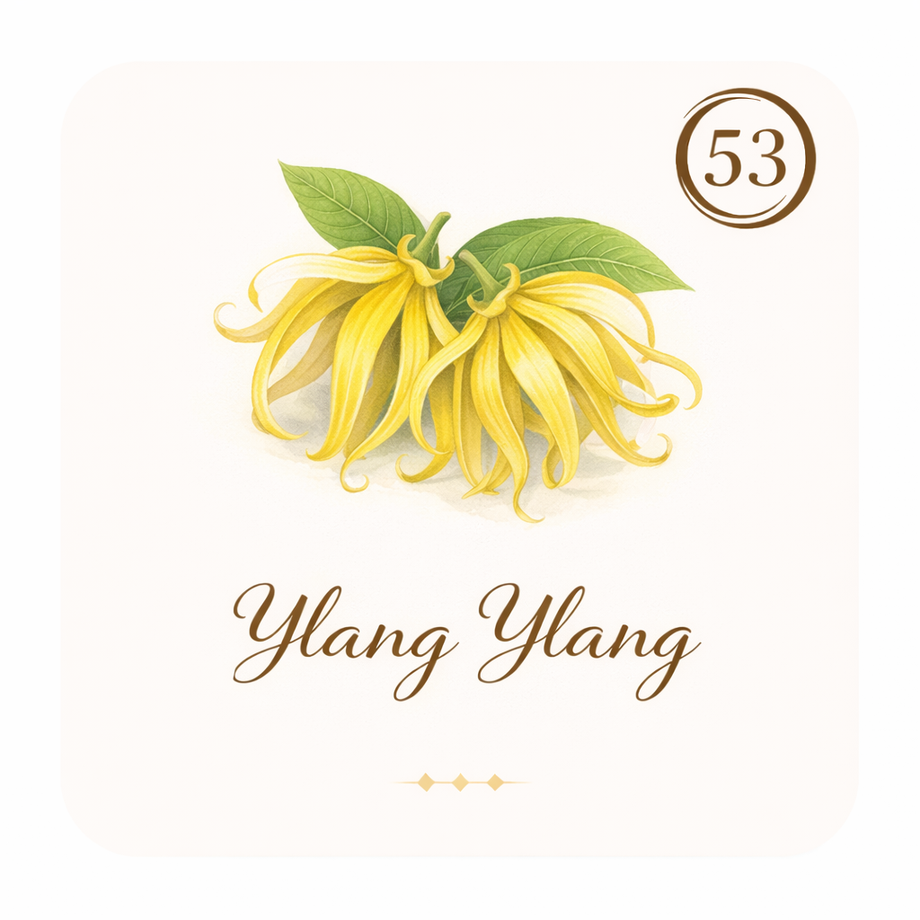 Ylang Ylang