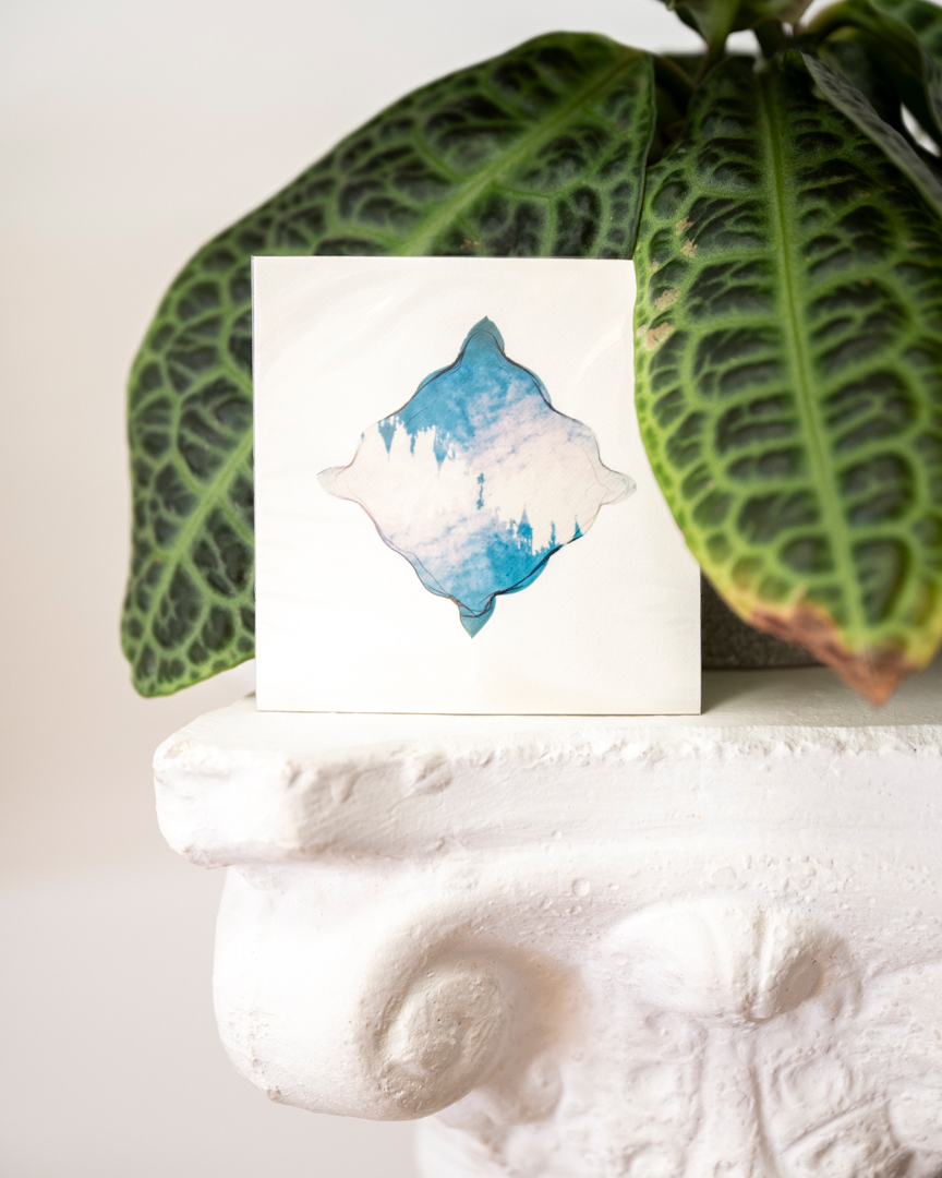 Workshop di Polaroid emulsion lift