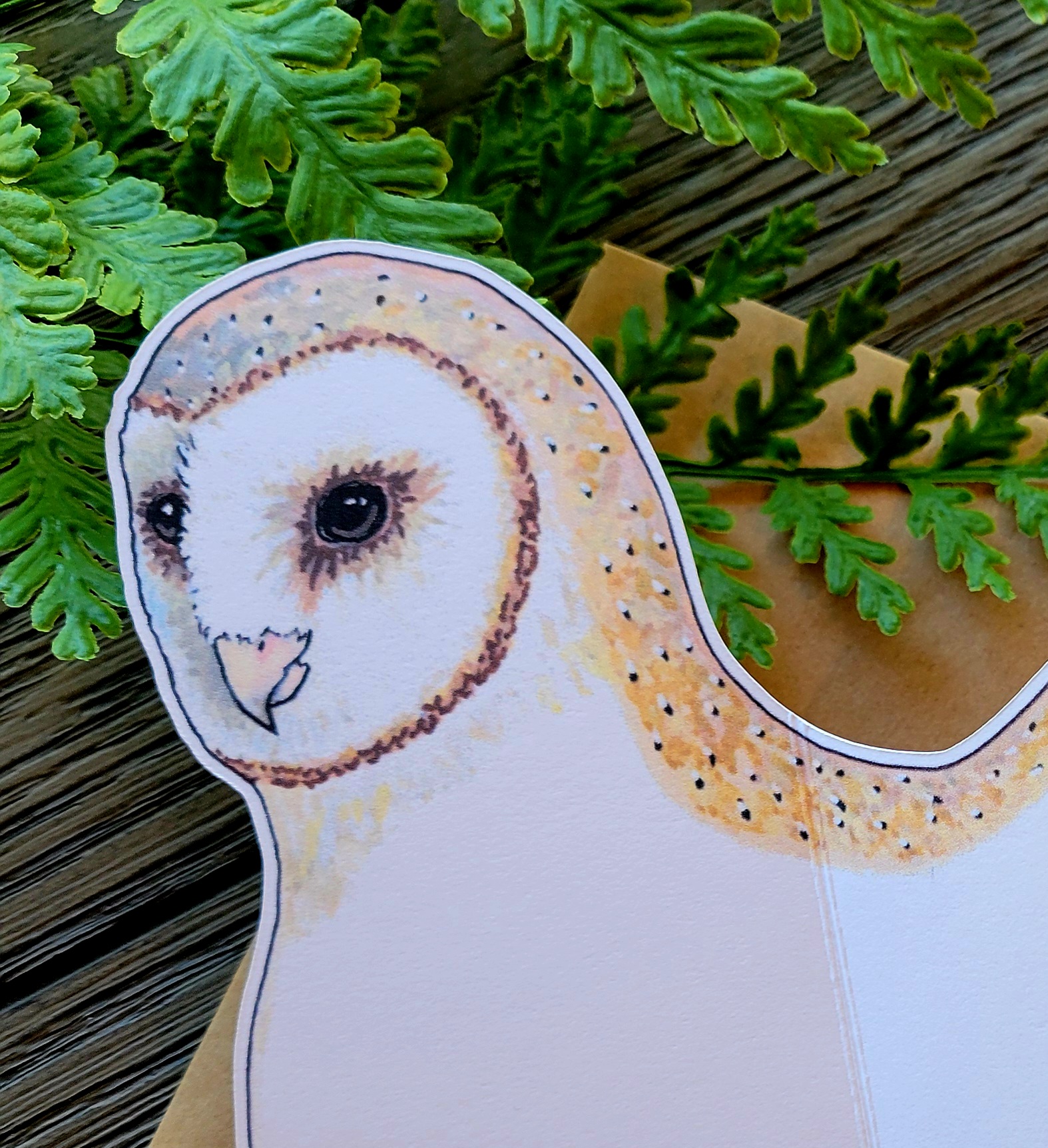  Barn Owl Greeting Card