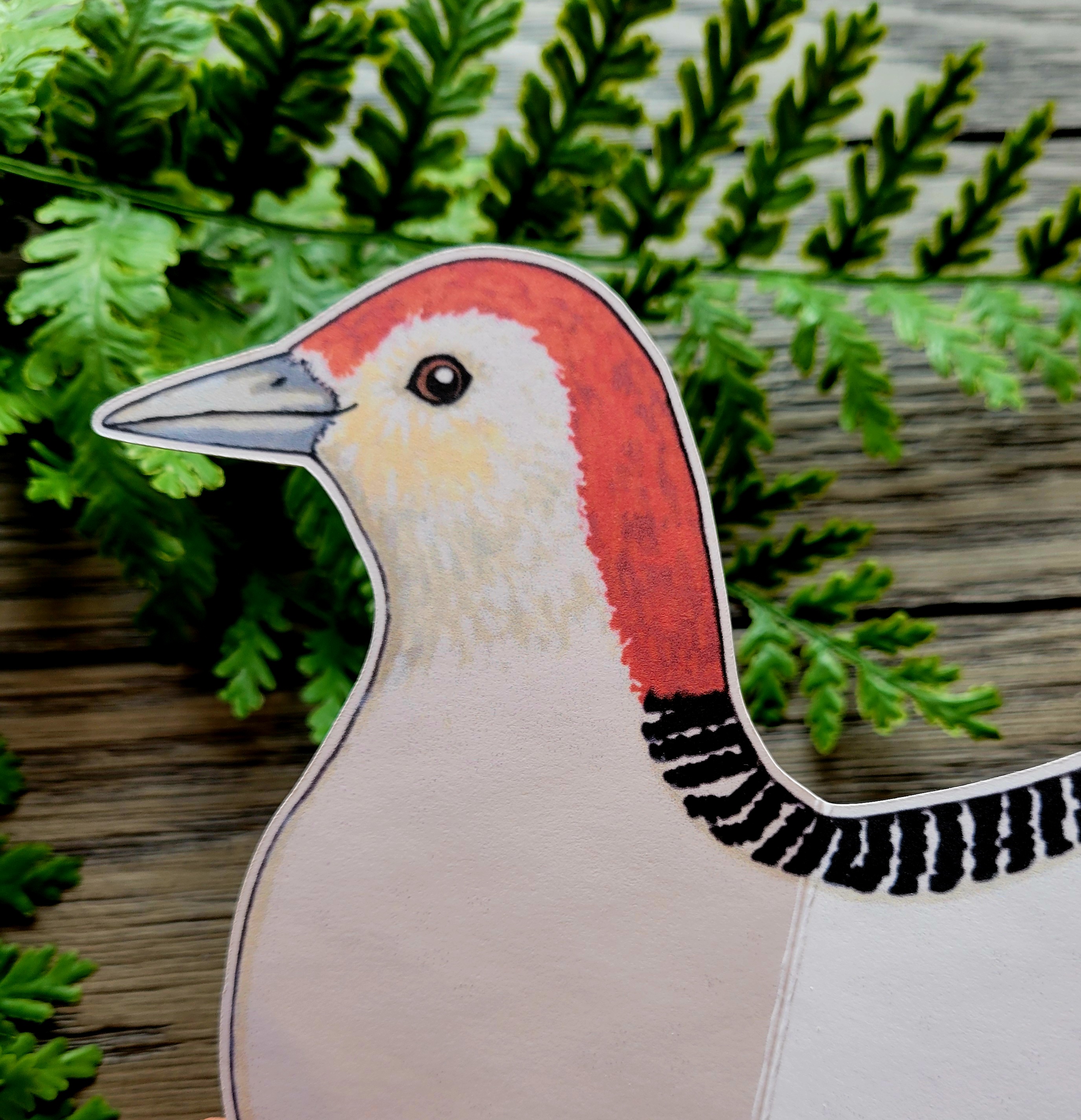 Red-bellied Woodpecker Greeting Card