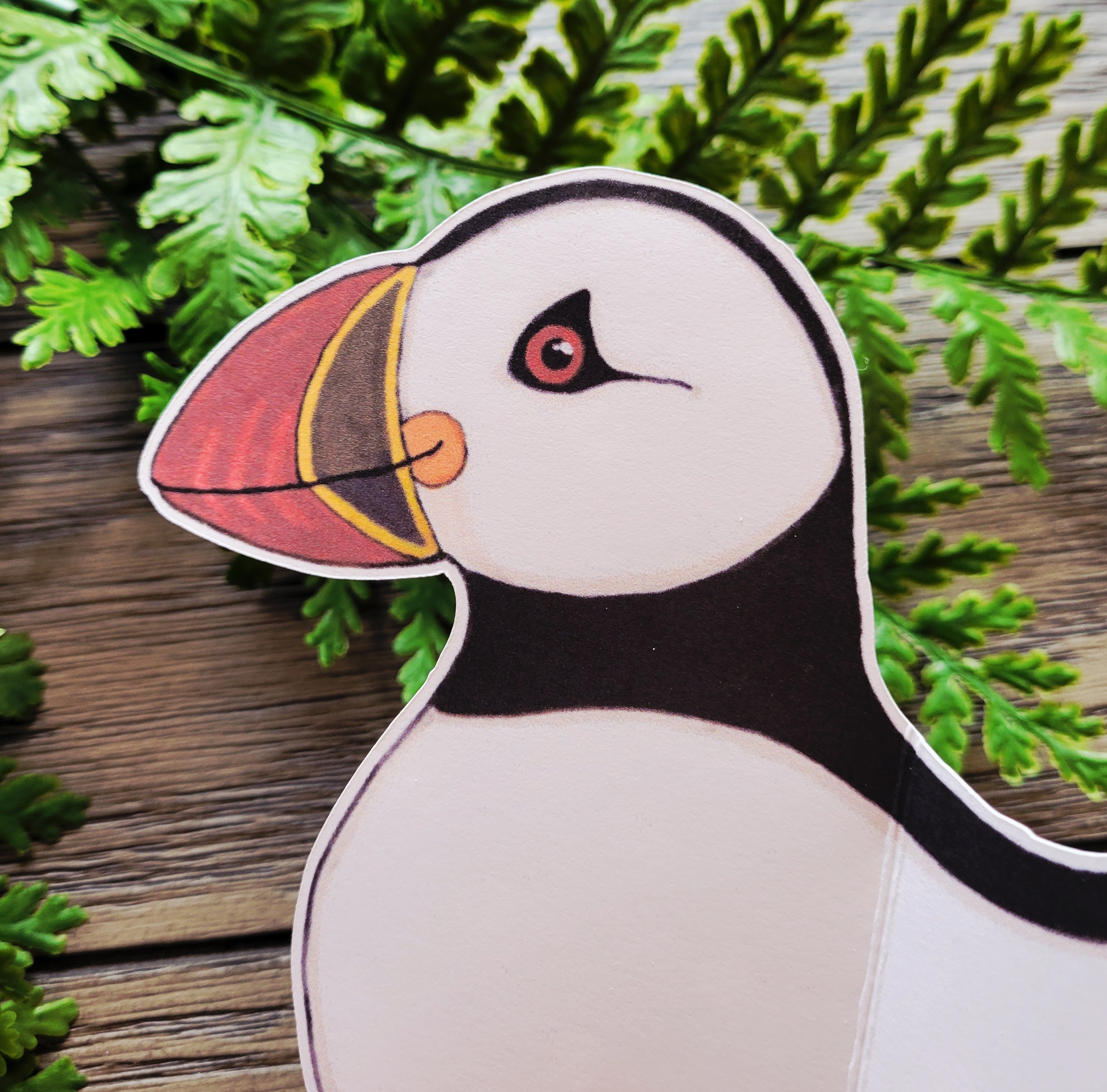 Atlantic Puffin Greeting Card