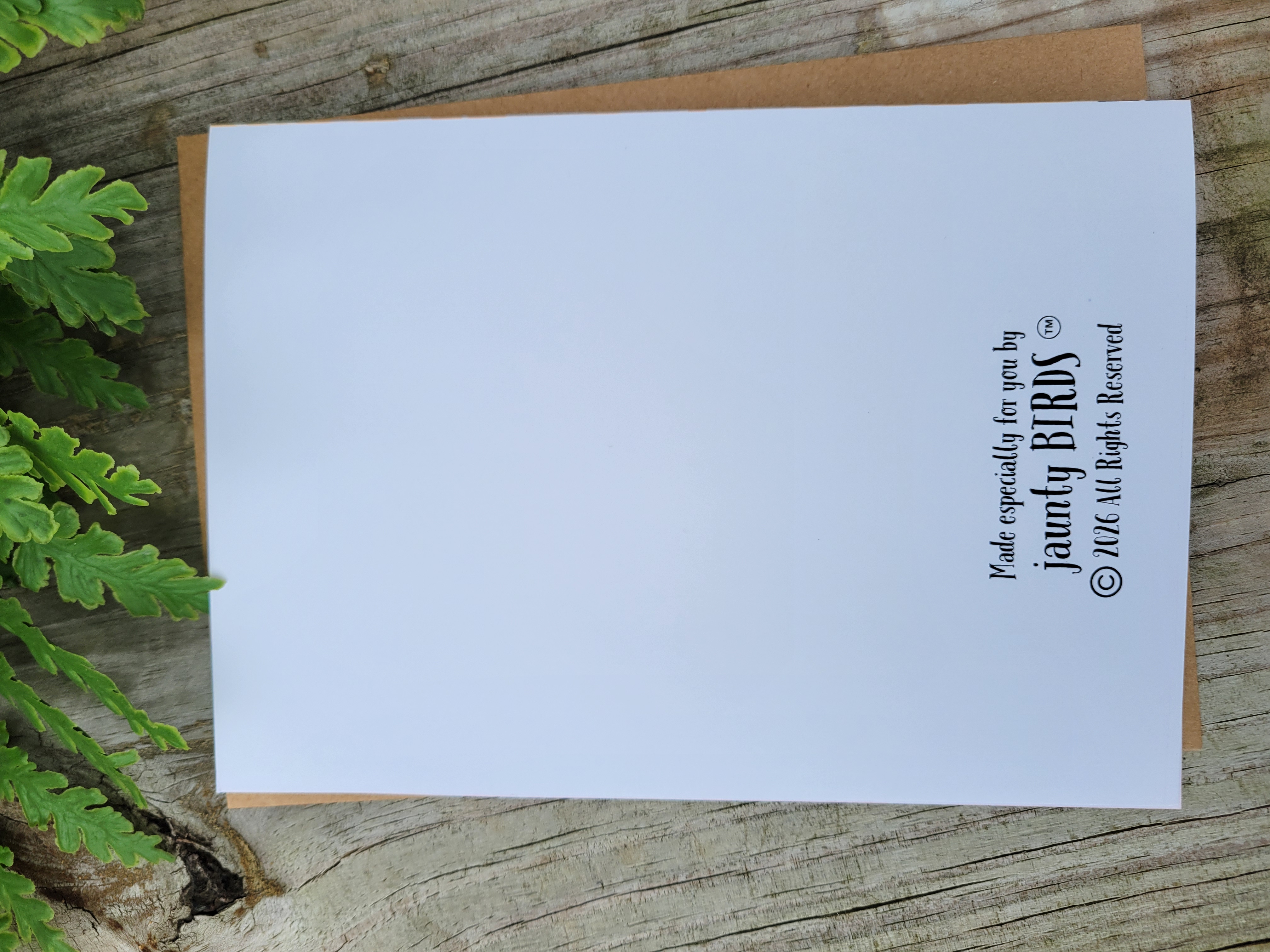 Baltimore Oriole Greeting Card