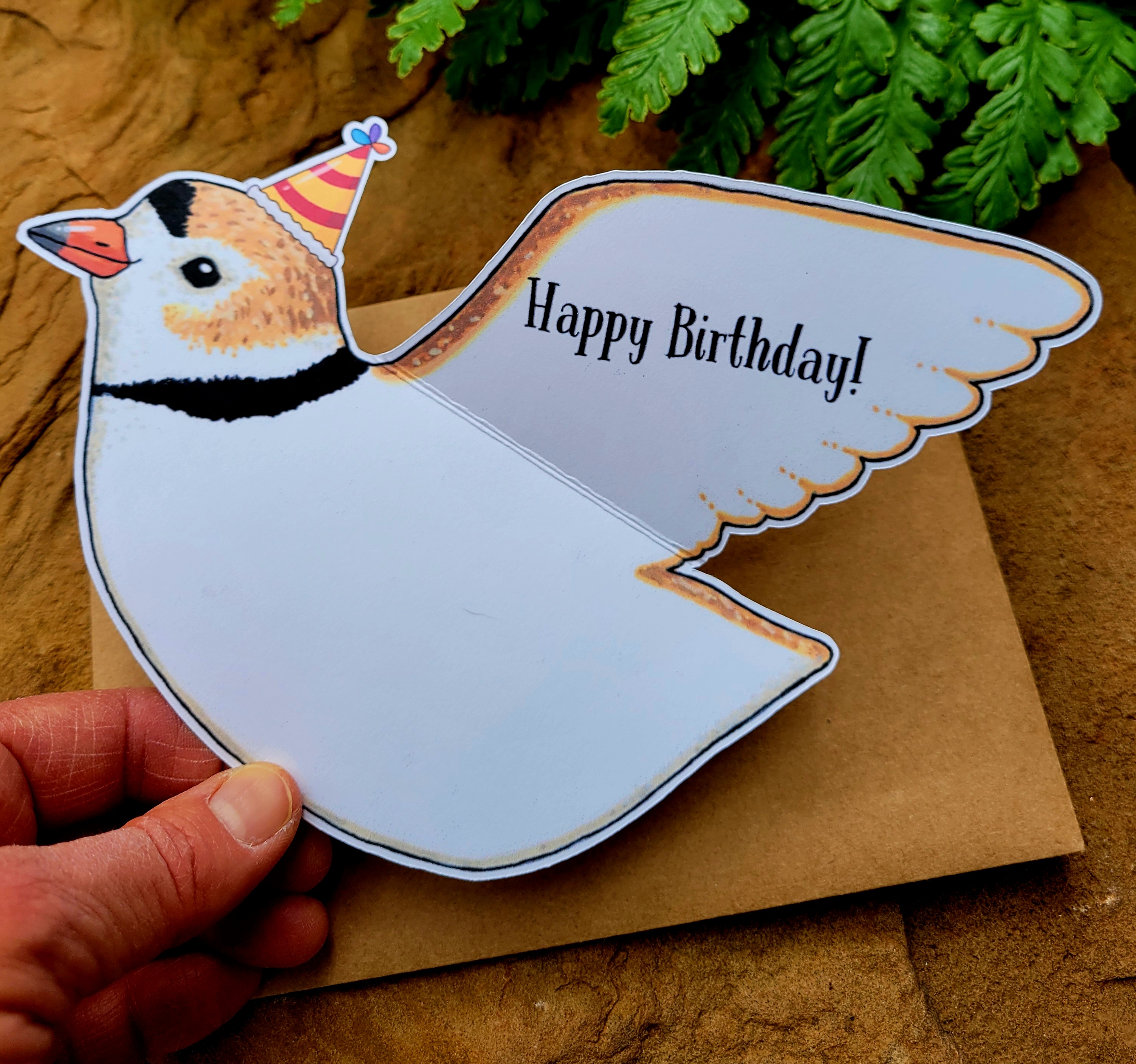 Party Plover Birthday Card