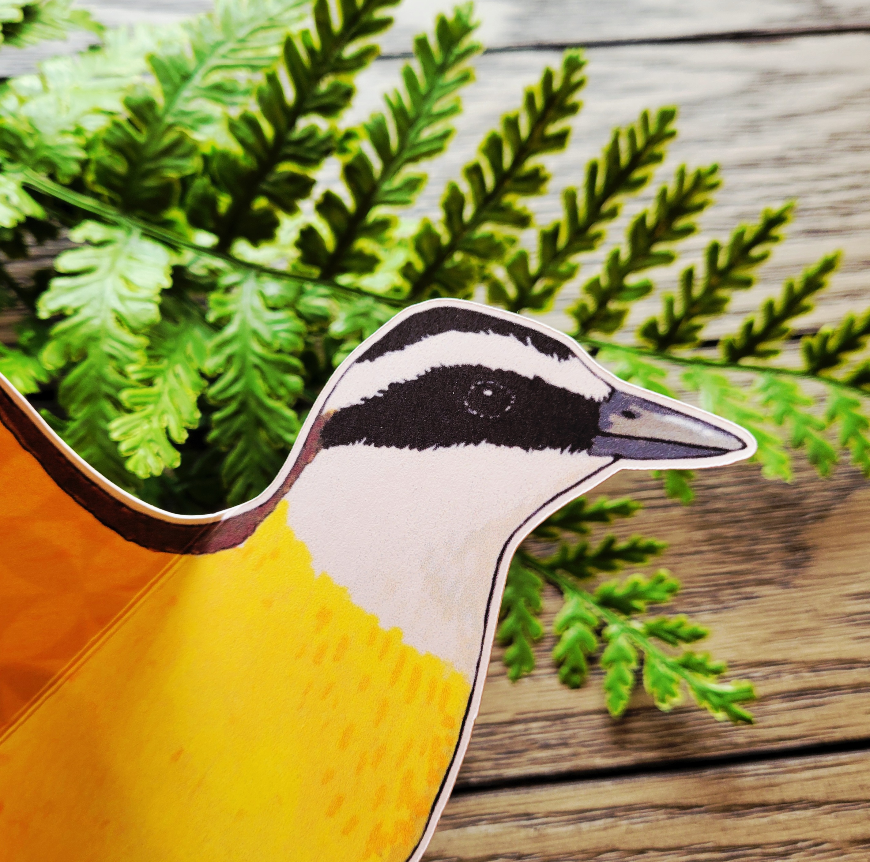 Great Kiskadee Greeting Card