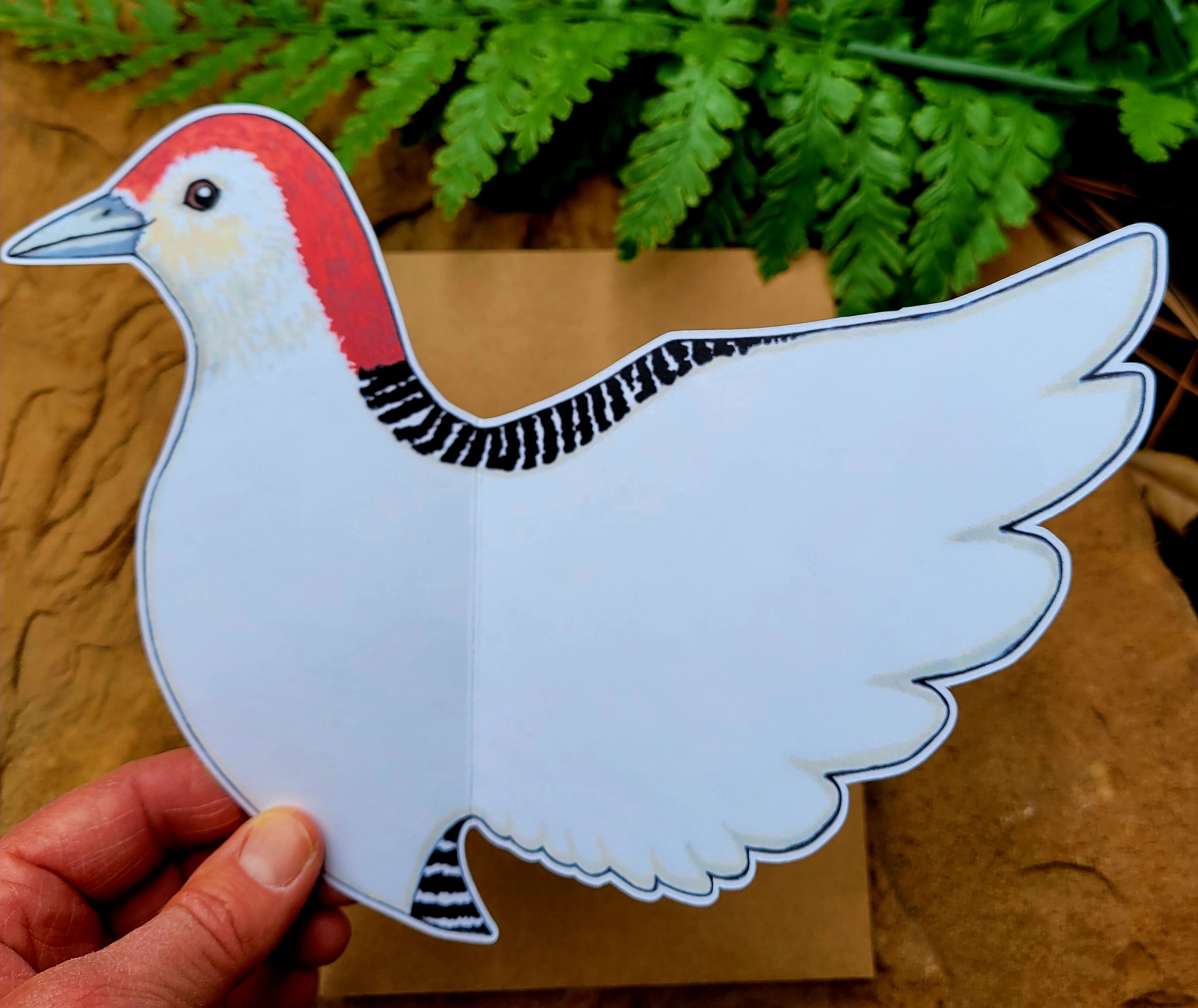 Red-bellied Woodpecker Greeting Card