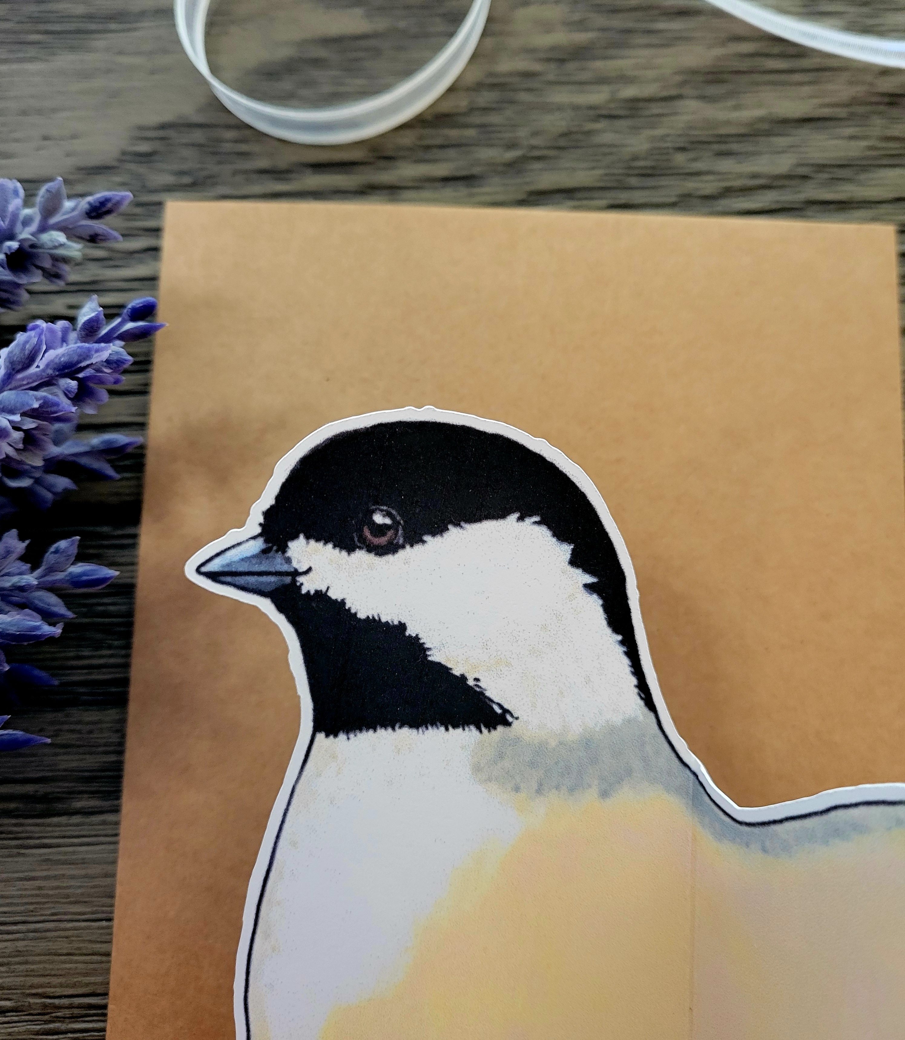 Black-capped Chickadee Greeting Card