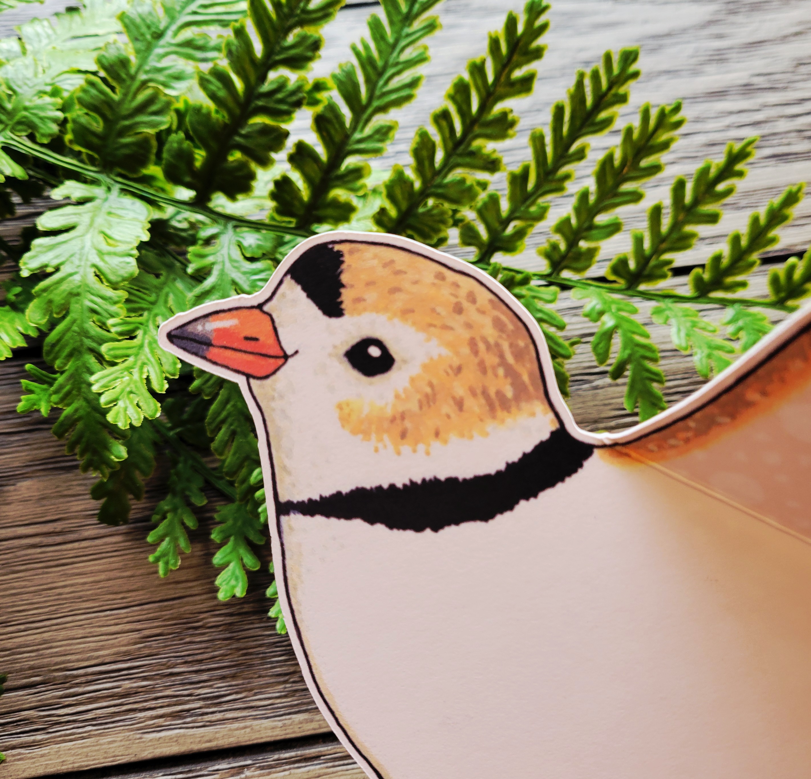 Piping Plover Greeting Card