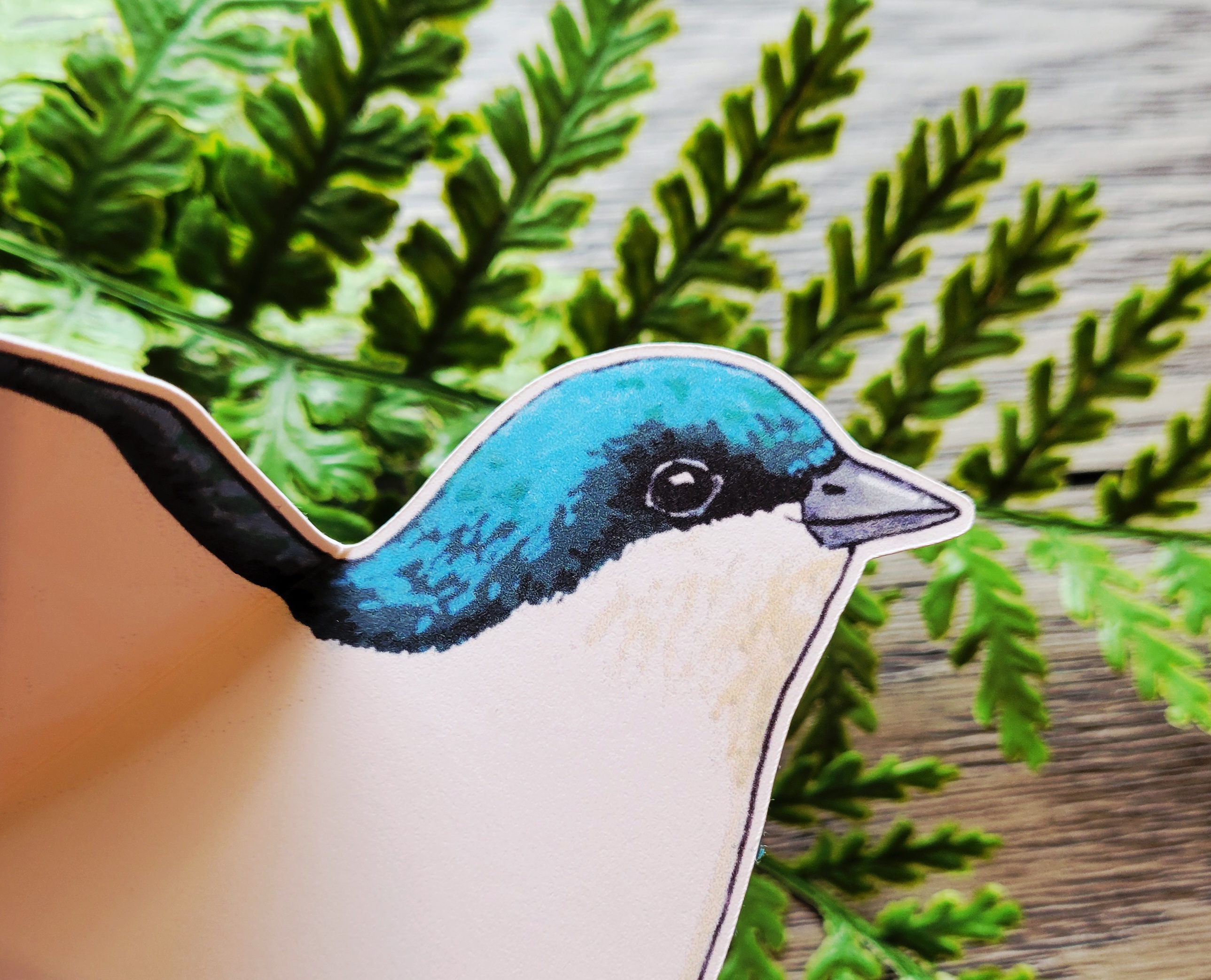 Tree Swallow Greeting Card