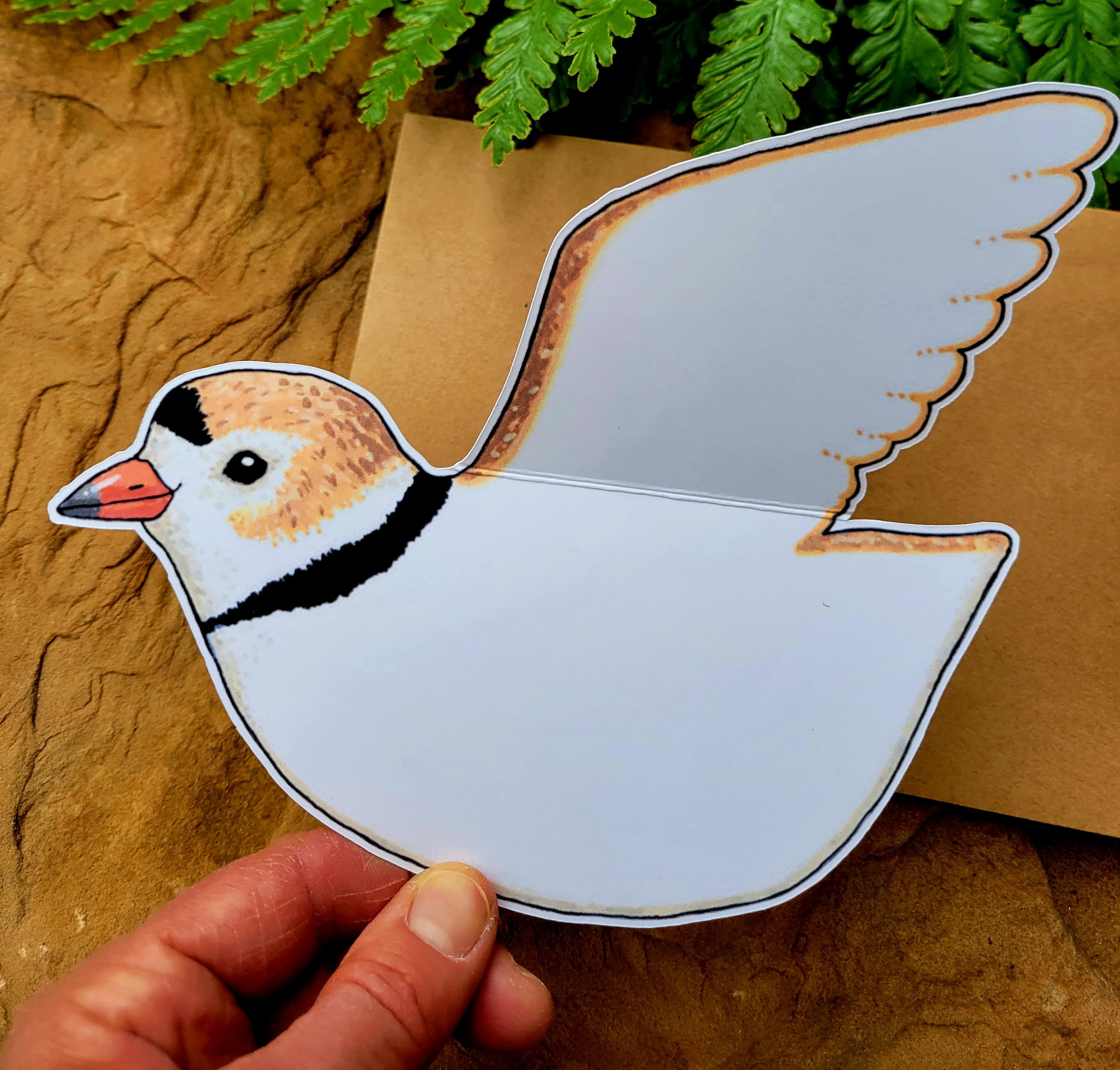 Piping Plover Greeting Card