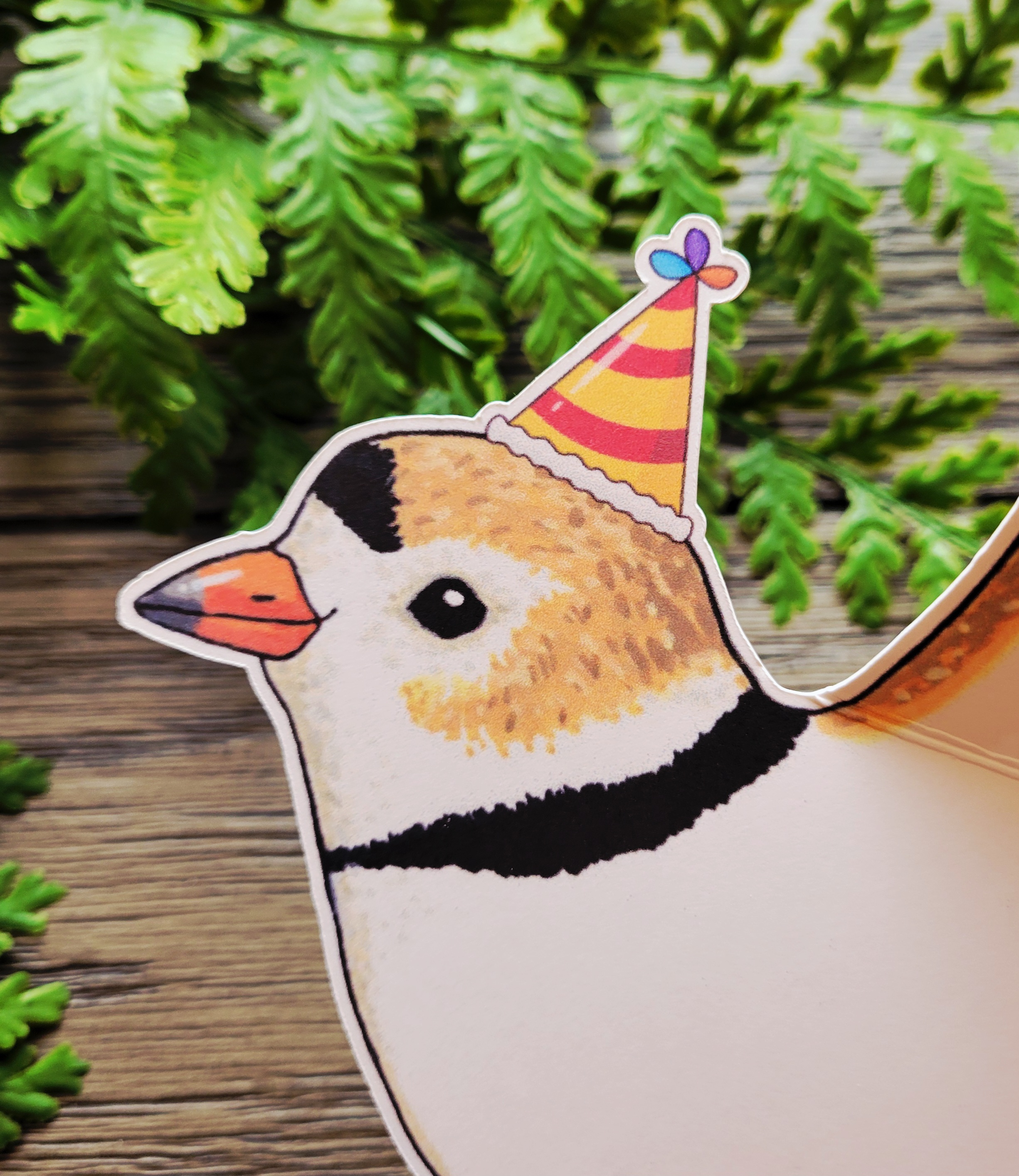 Party Plover Birthday Card