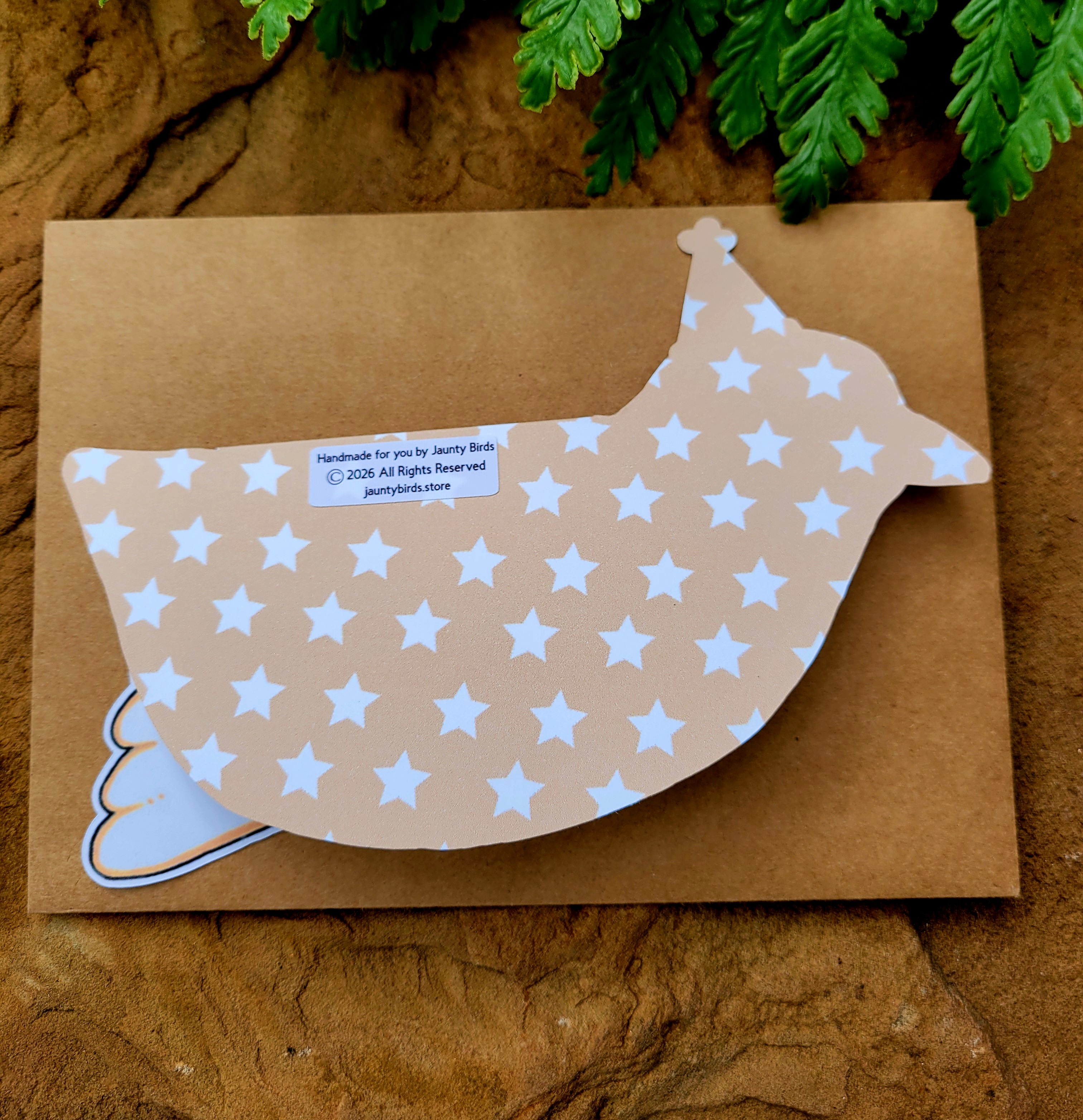 Party Plover Birthday Card