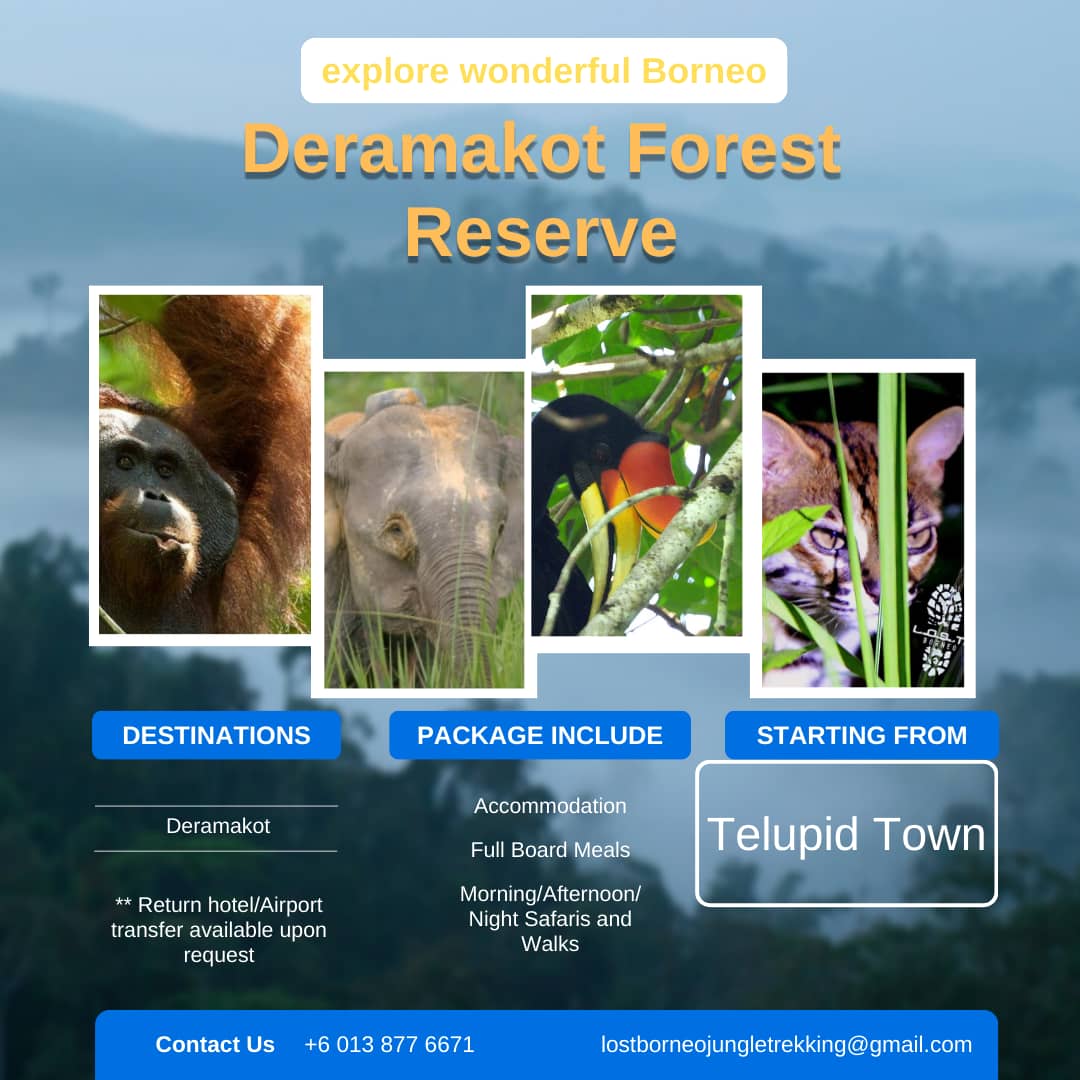 Deramakot Forest Reserve Tour Online Appiontment