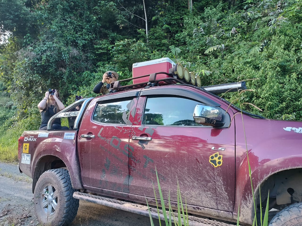 3D2N Deramakot Wildlife Safari p/person minimum 2 persons