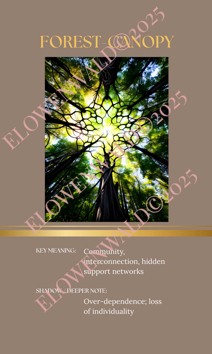 ELEMENTAL ORACLE DECK - Bridge size