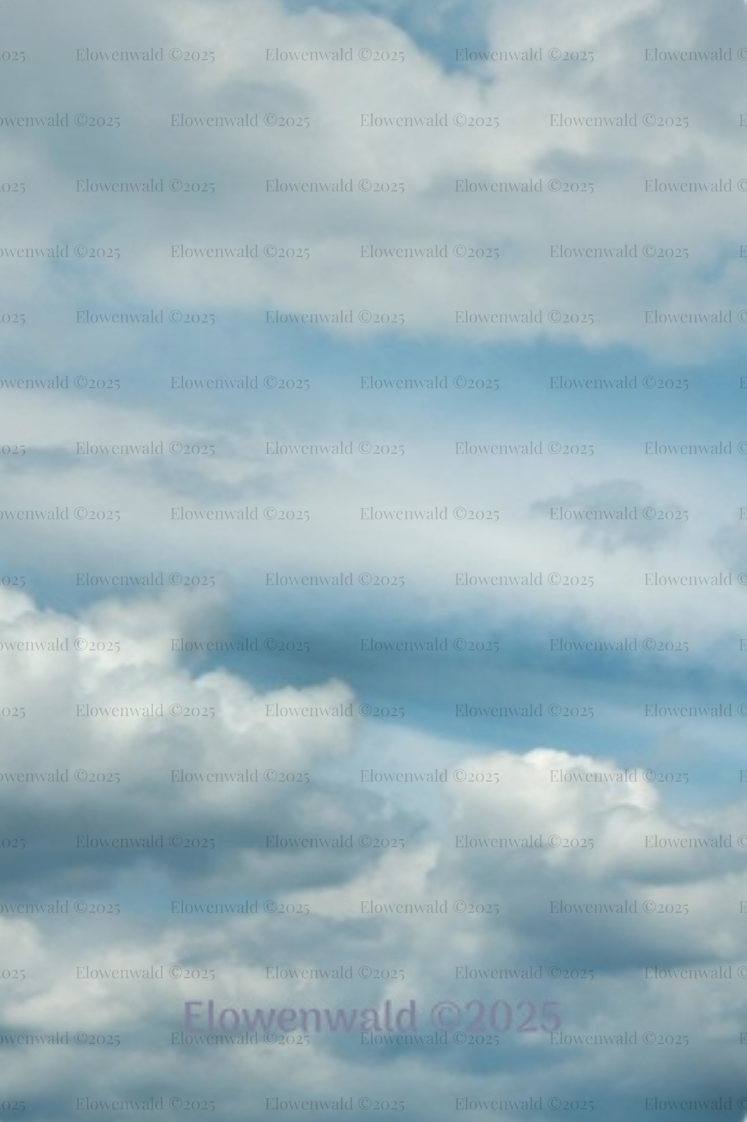 THE COUNTING CARDS DECK - Bridge size