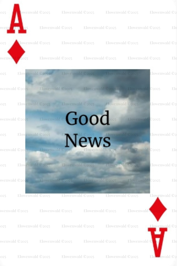 THE COUNTING CARDS DECK - Bridge size