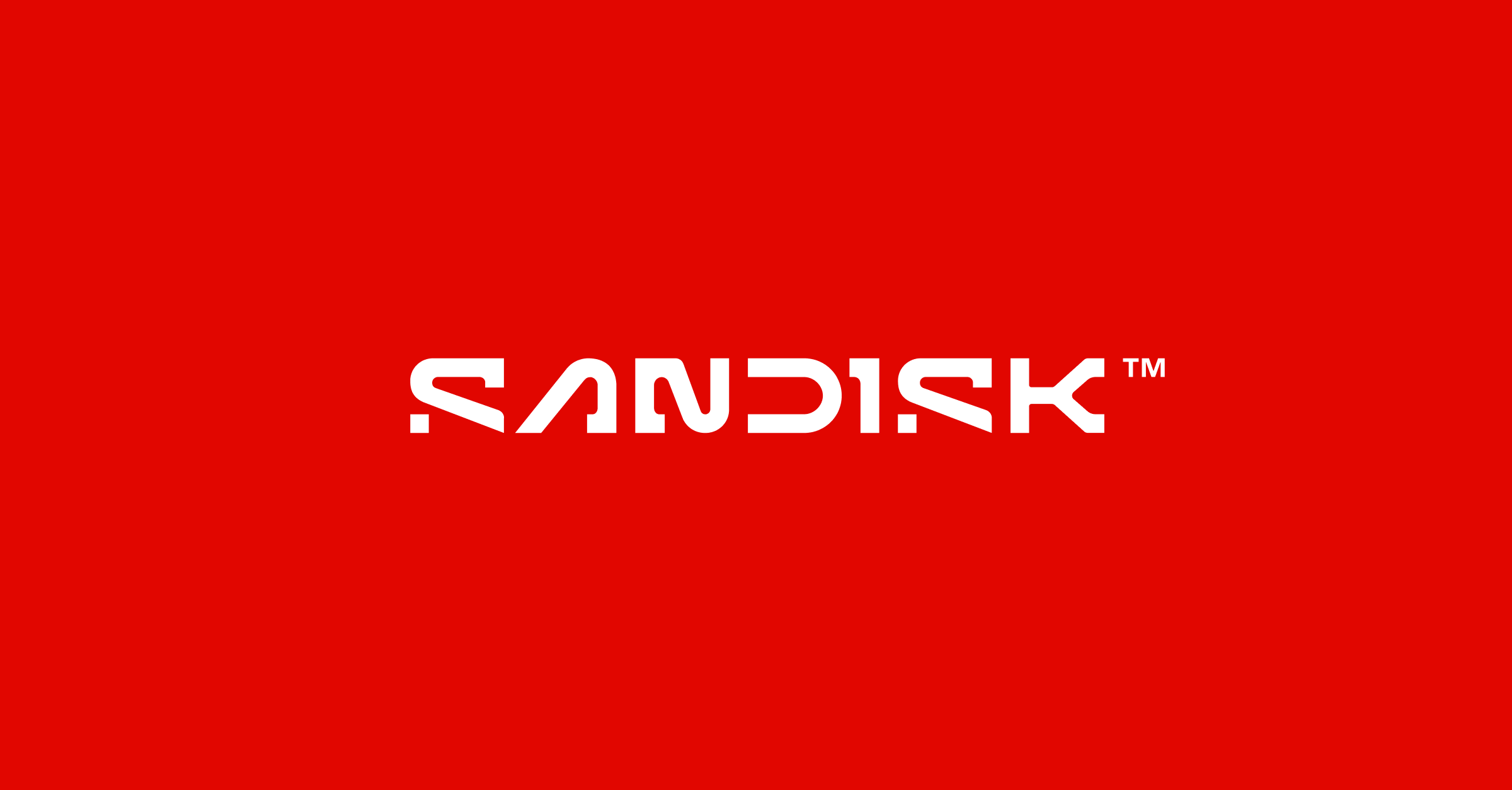 SanDisk Storage Device