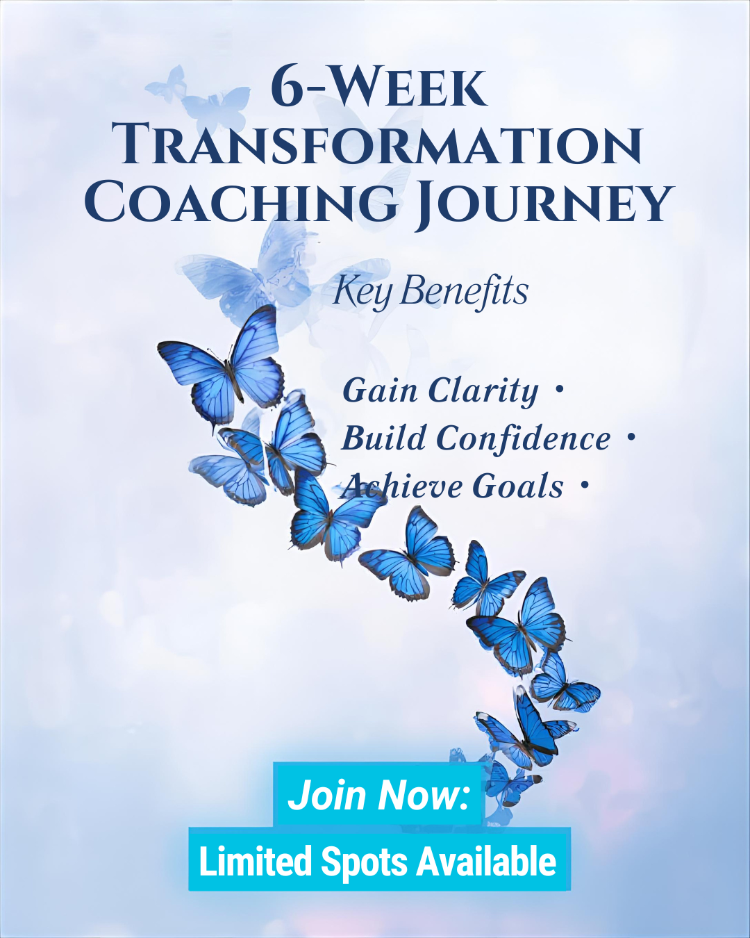 6-Week Transformation Coaching Journey