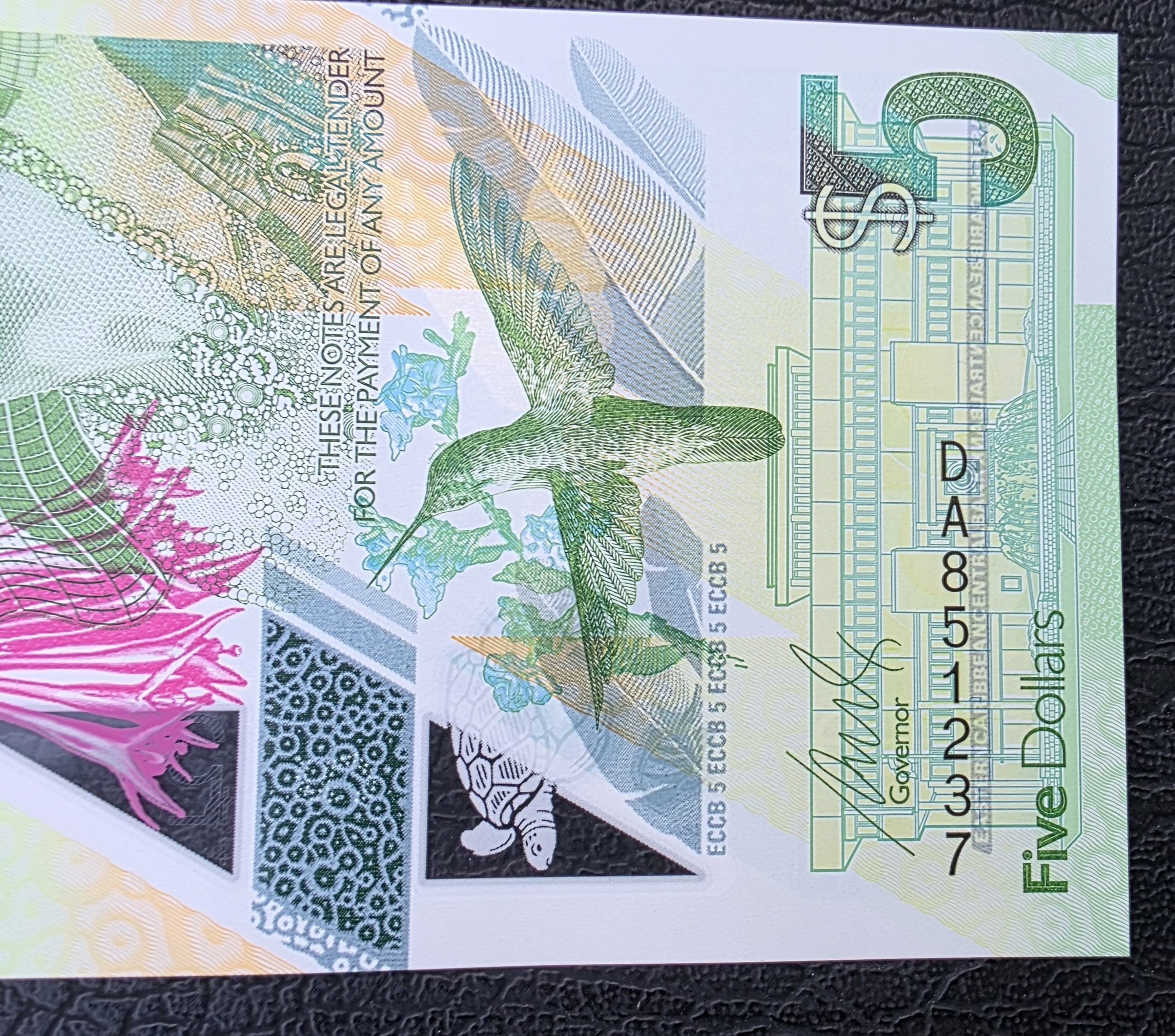  Eastern Caribbean States – 5 Dollars Polymer ND (P-56) - UNC