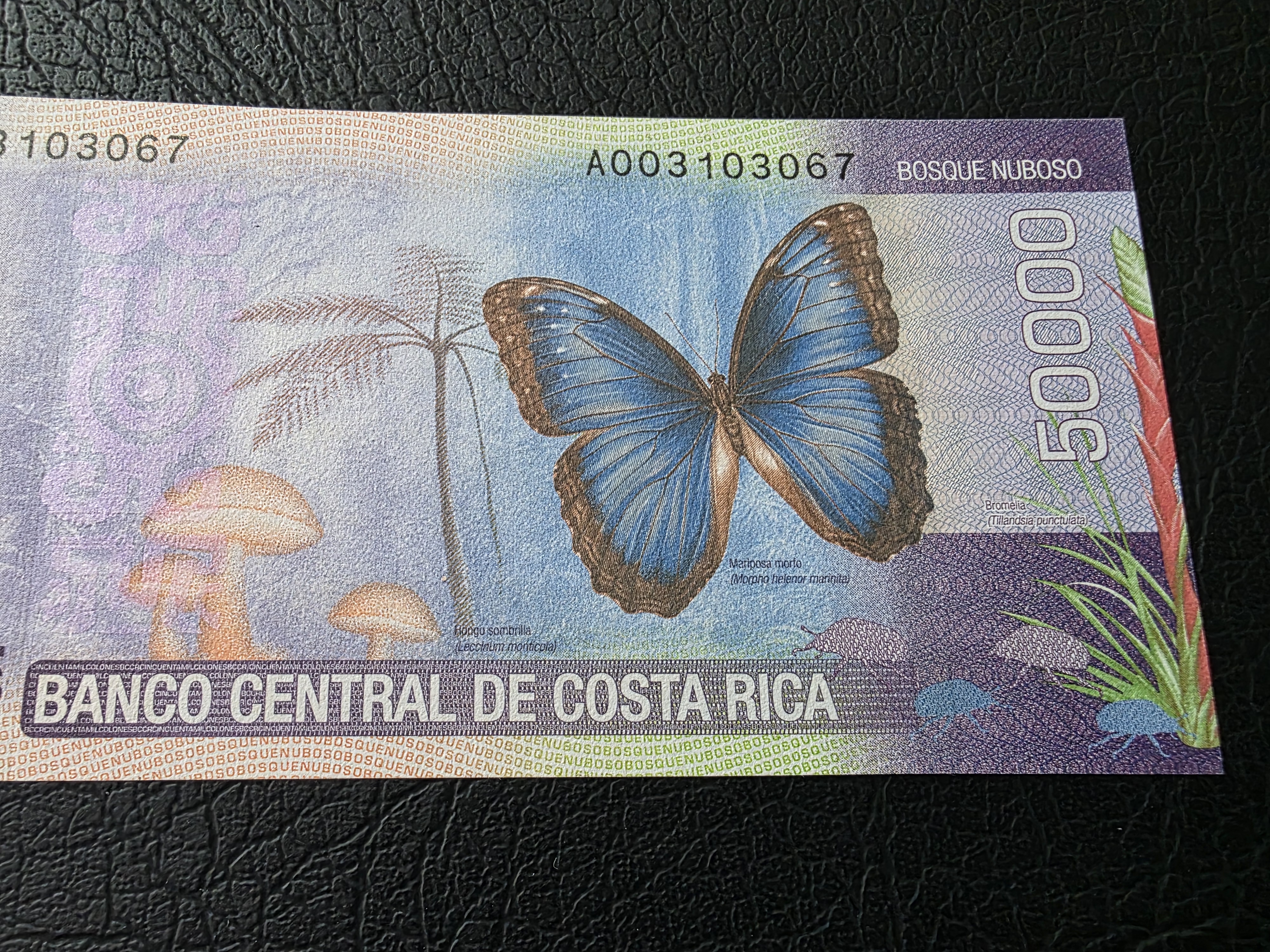 Costa Rica – 50,000 Colones – Pick 279 – 2009 - UNC
