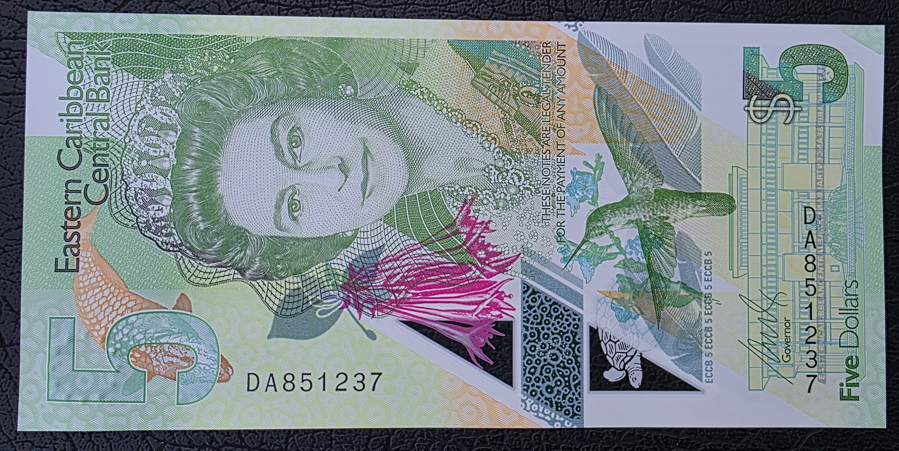  Eastern Caribbean States – 5 Dollars Polymer ND (P-56) - UNC