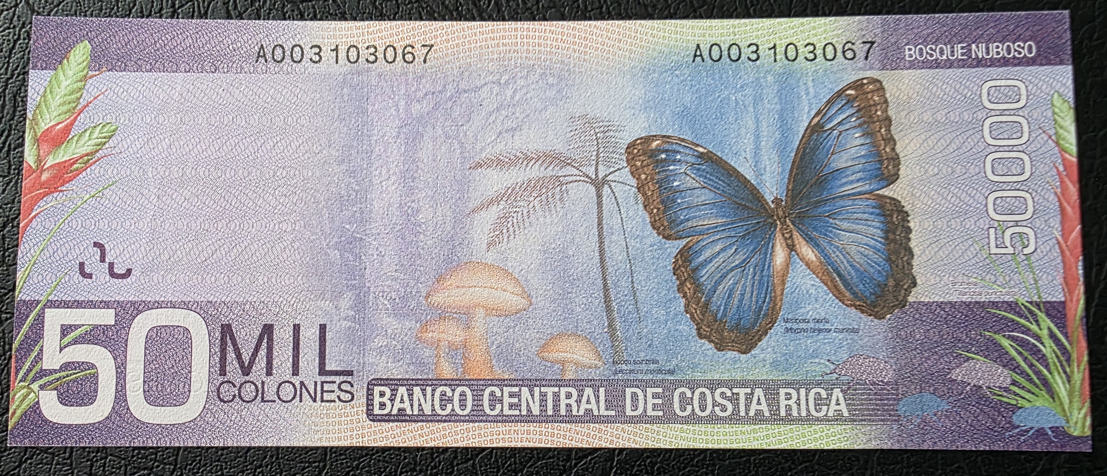 Costa Rica – 50,000 Colones – Pick 279 – 2009 - UNC