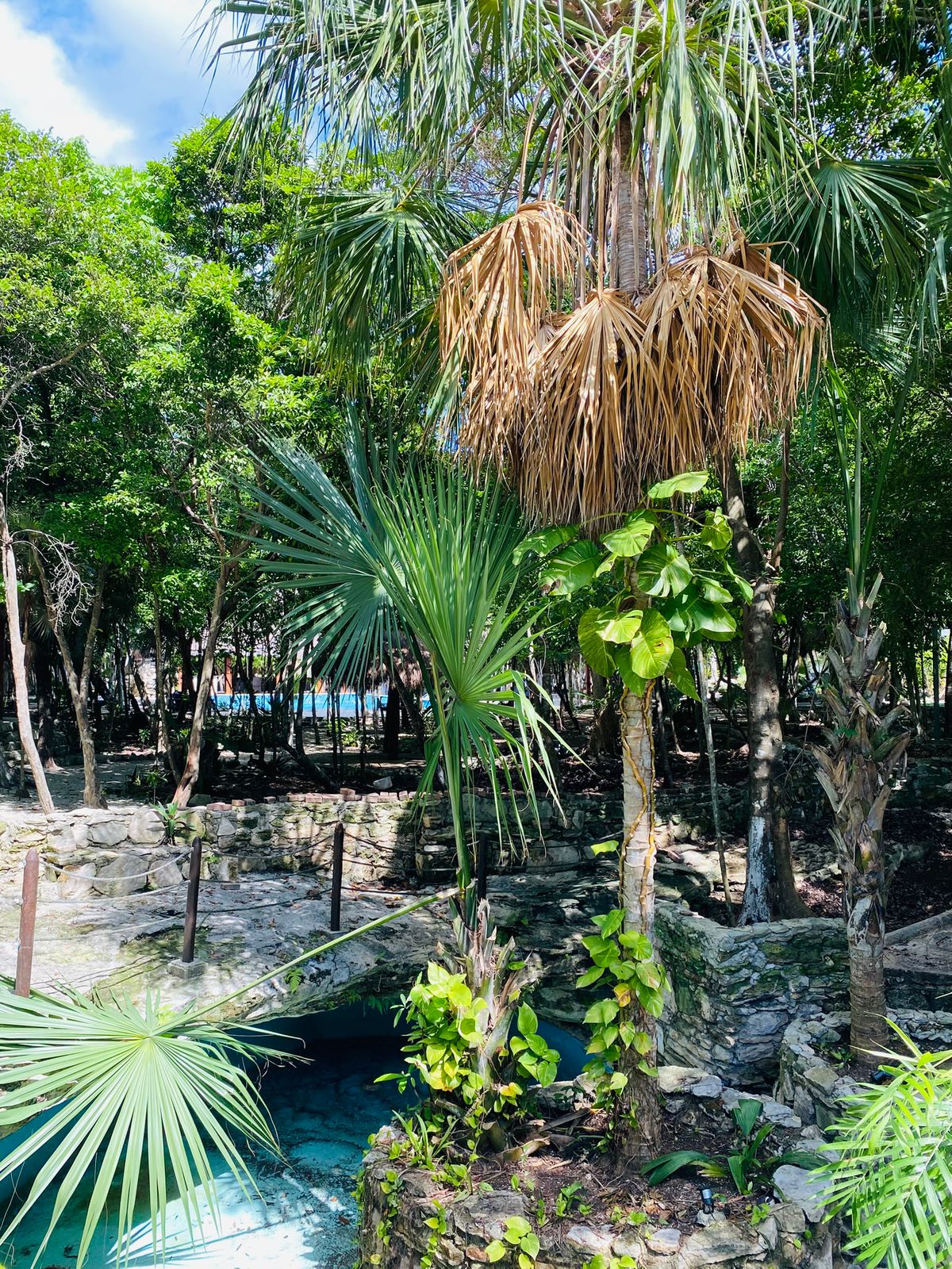 TERRENO EN RESIDENCIAL PUNTA VISTA - PUERTO MORELOS