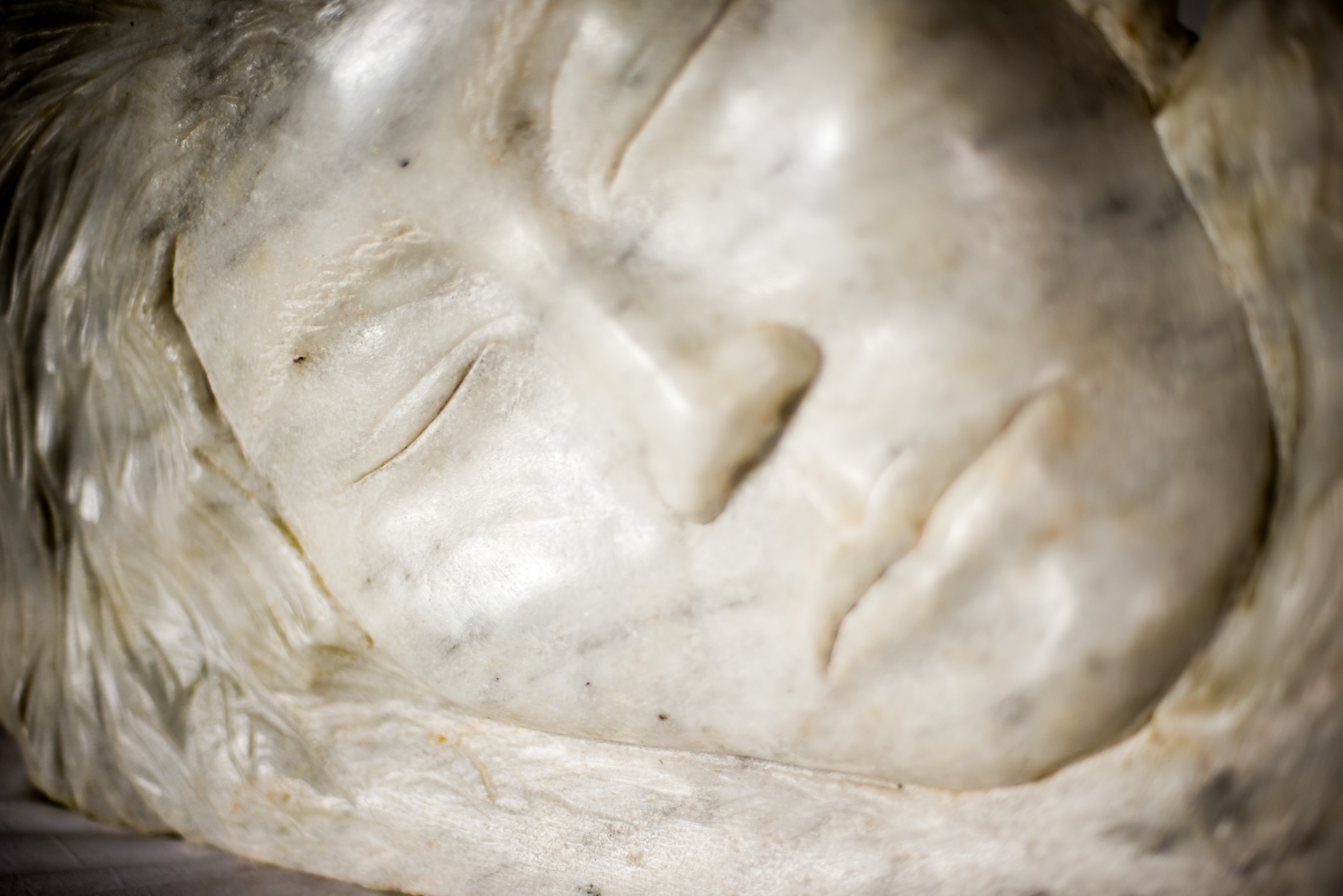 El ángel dormido de Estambul