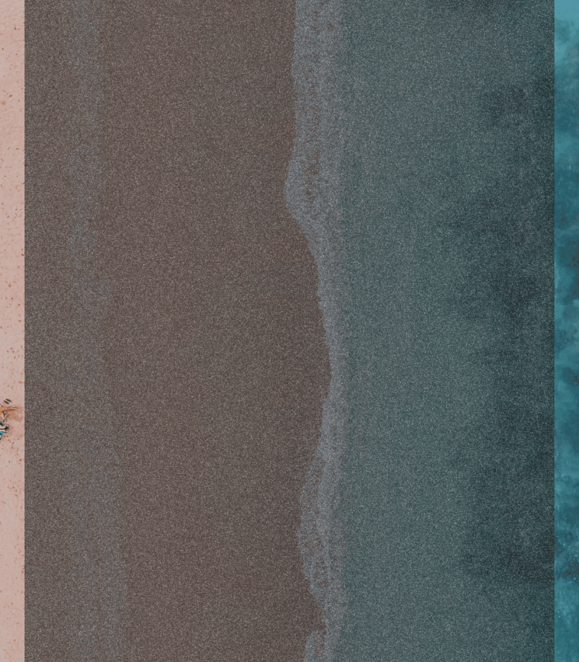 Curso Intensivo Julio - Agosto