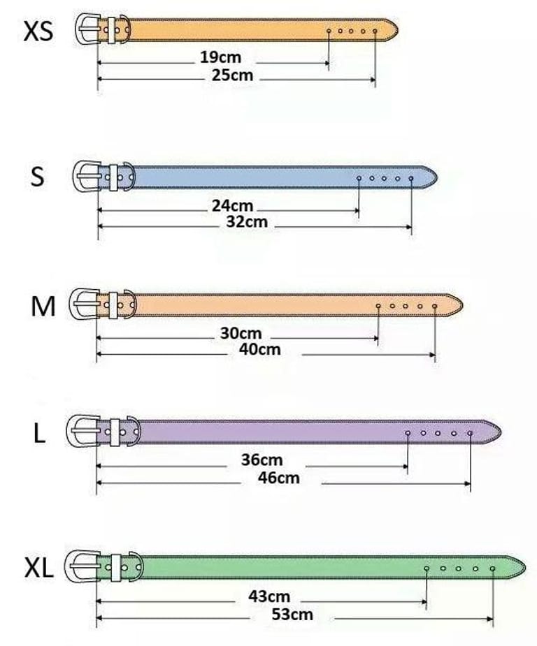 ,,Neon green yellow'' hexa šuns antkaklis
