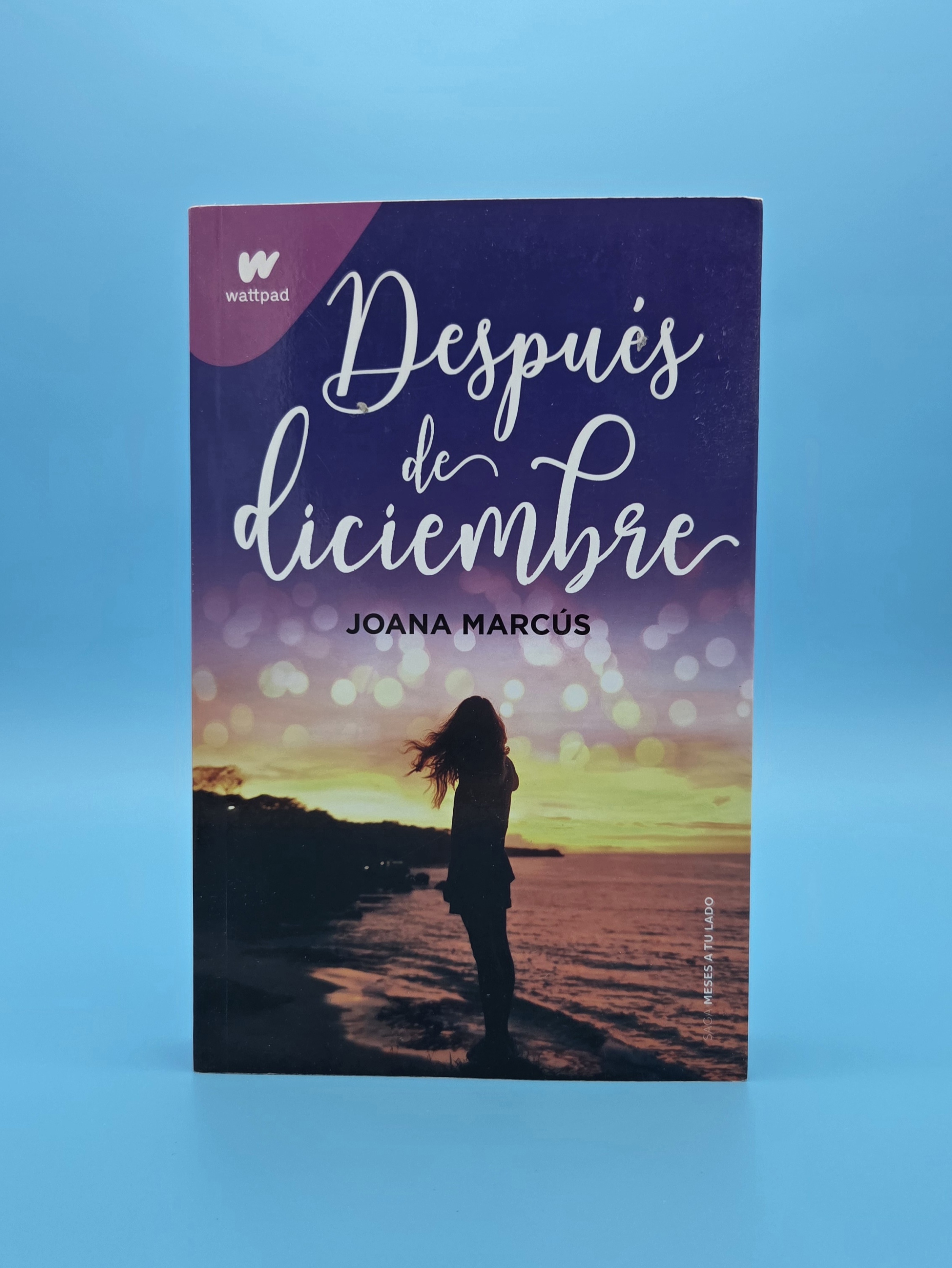 Después de diciembre (Meses a tu lado 2)