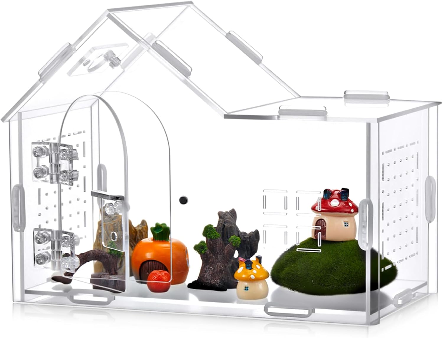 Acrylic Jumping Spider Enclosure