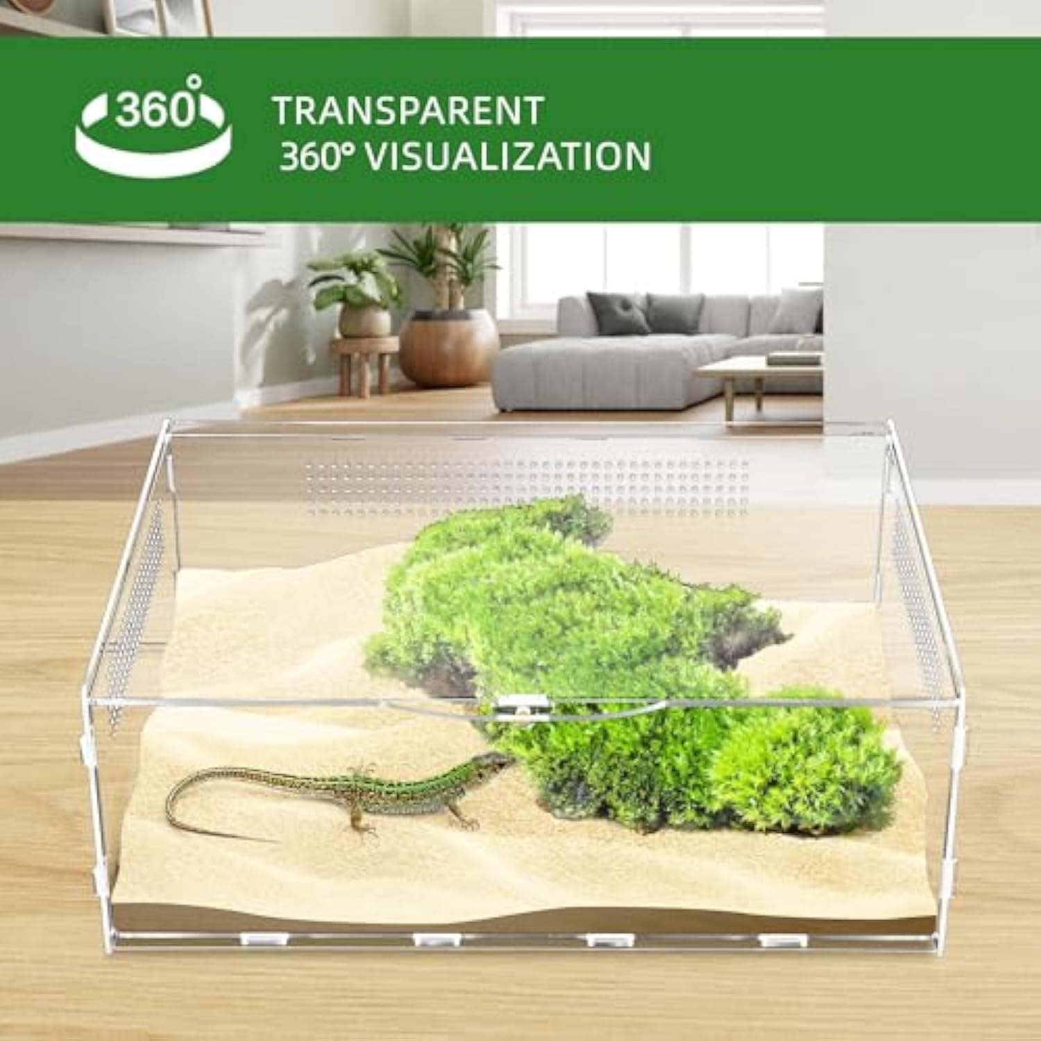 Miniature Habitat Folding Jumping Spider Enclosure 