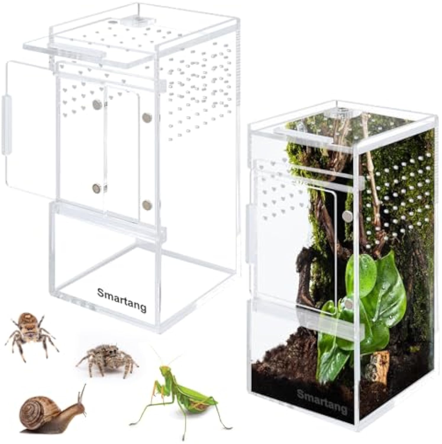 Acrylic Insect Breeding Box