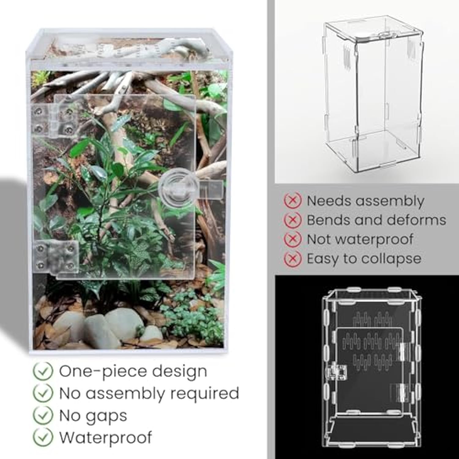 Double-door jumping spider enclosure