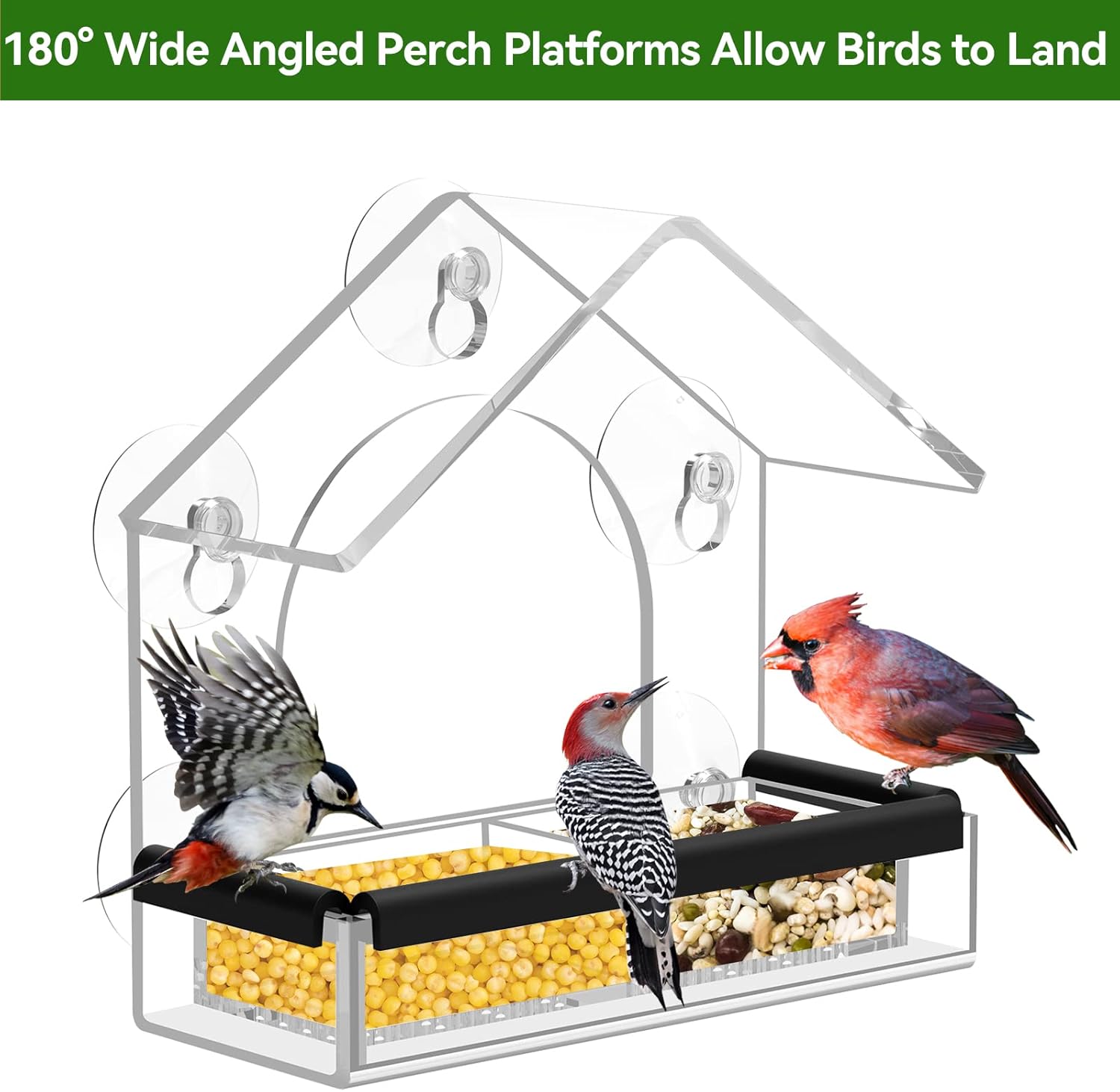 Acrylic Window Bird Feeder