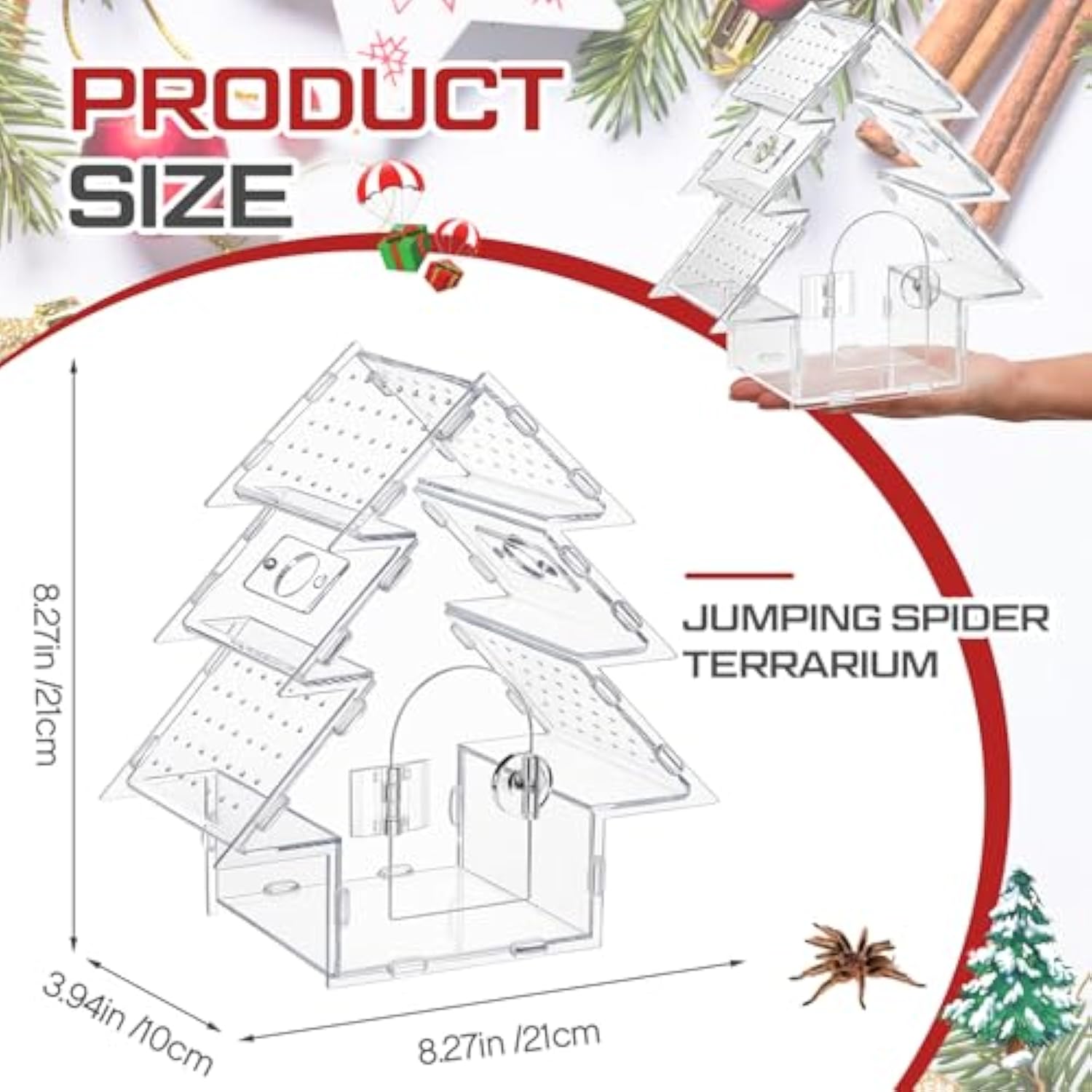 Jumping Spider Terrarium