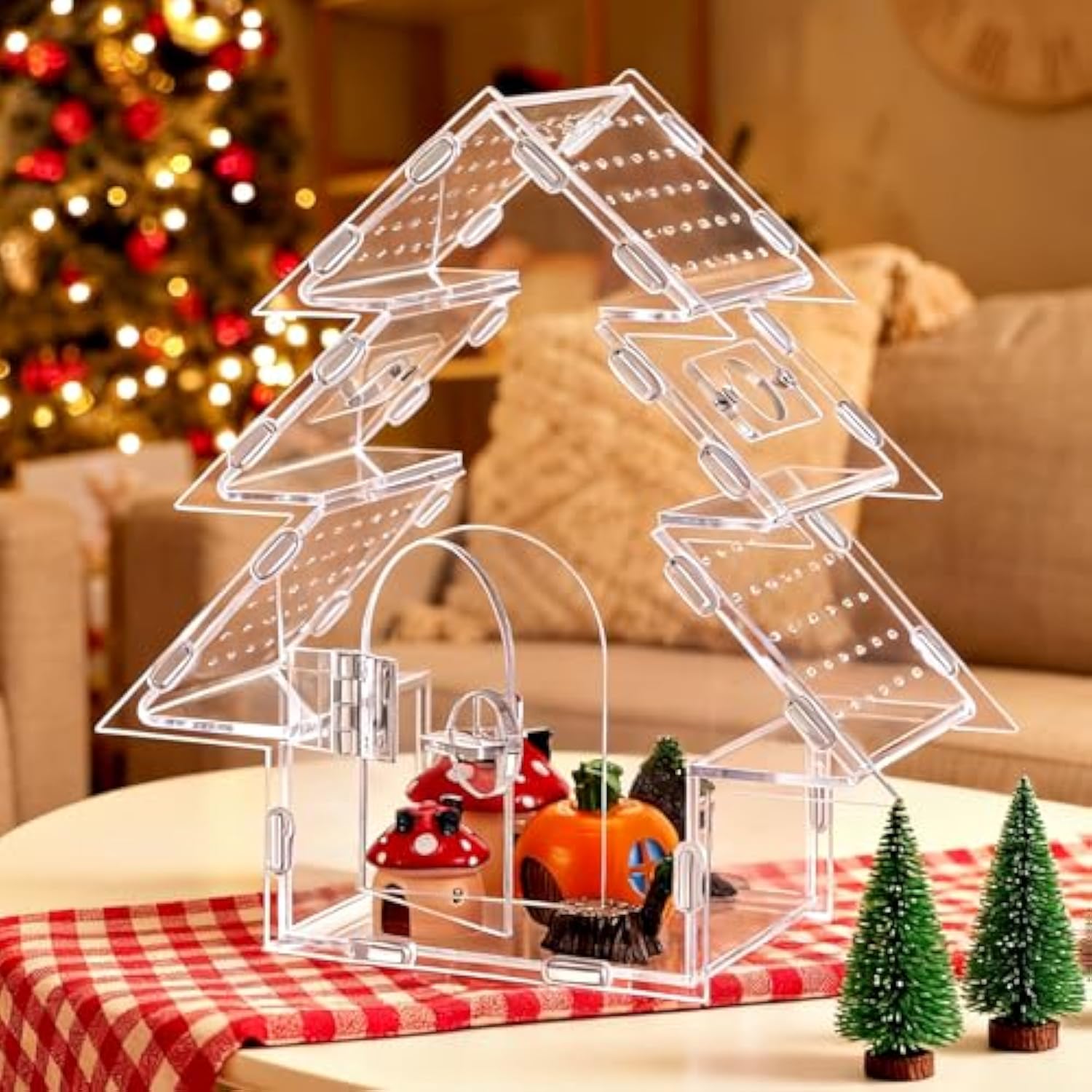 Jumping Spider Terrarium