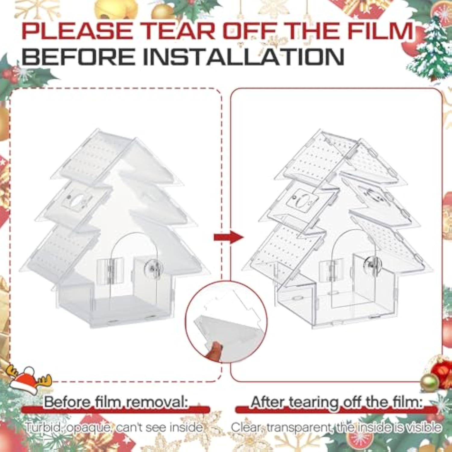 Jumping Spider Terrarium