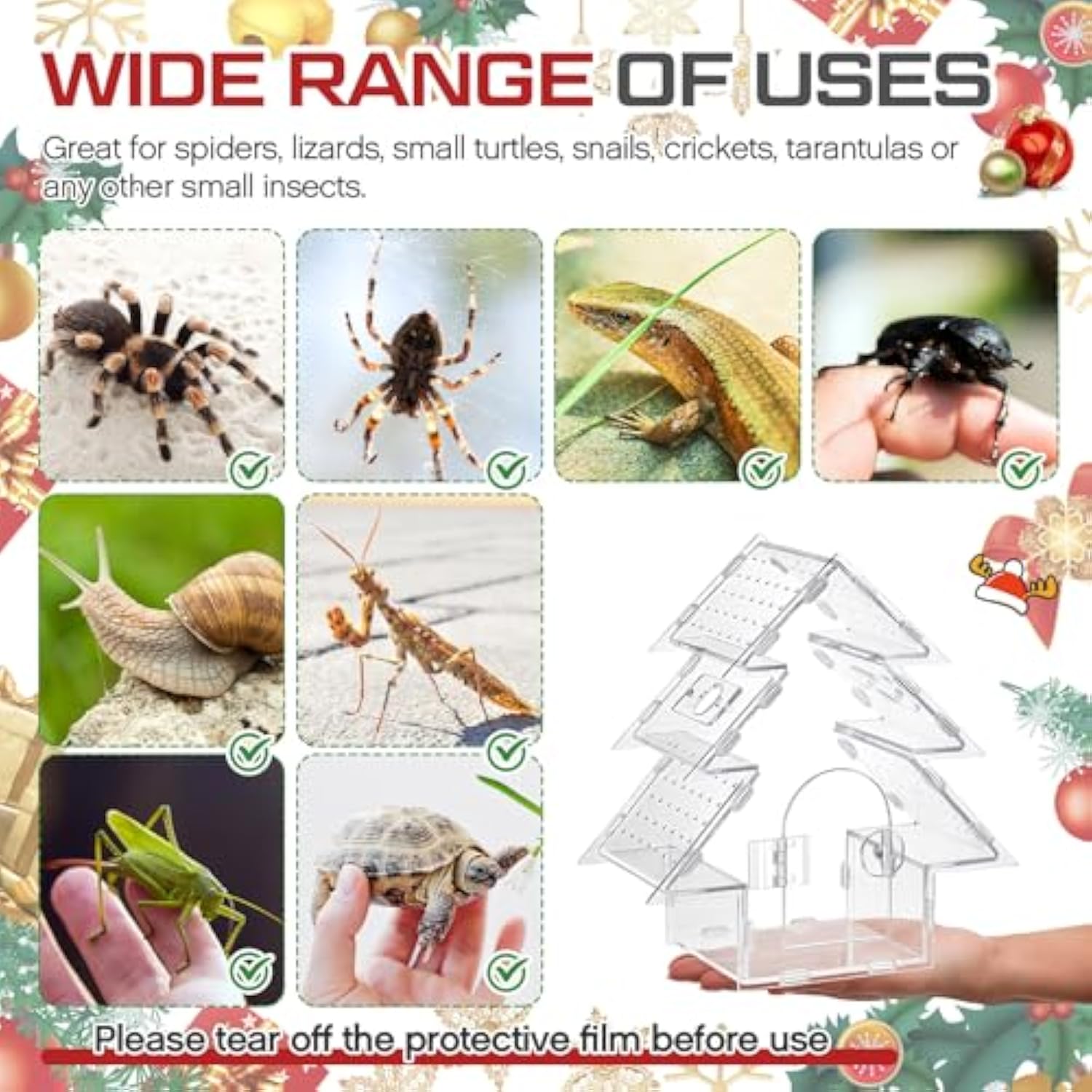 Jumping Spider Terrarium